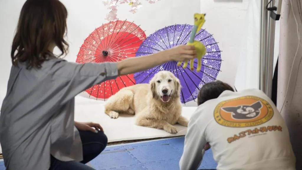 Izukogen Wanwan Paradise Condominium