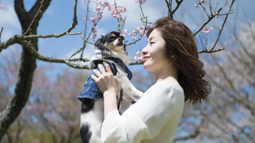 Izukogen Wanwan Paradise Condominium