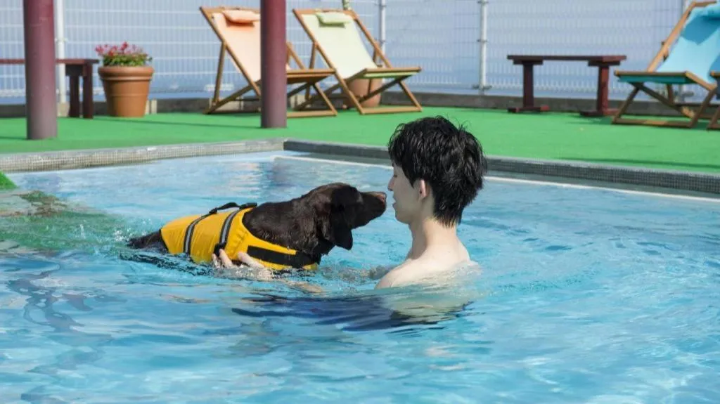 Izukogen Wanwan Paradise Condominium