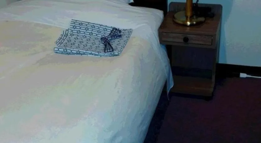 Business Daiichi Hotel Omihachiman