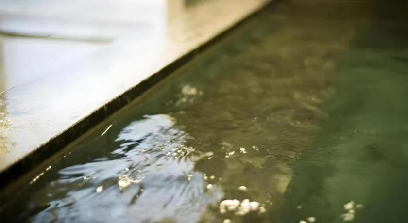 Super Hotel Satsuma Sendai