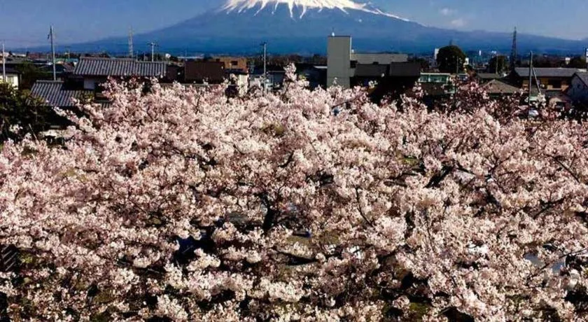 Fuji Park Hotel