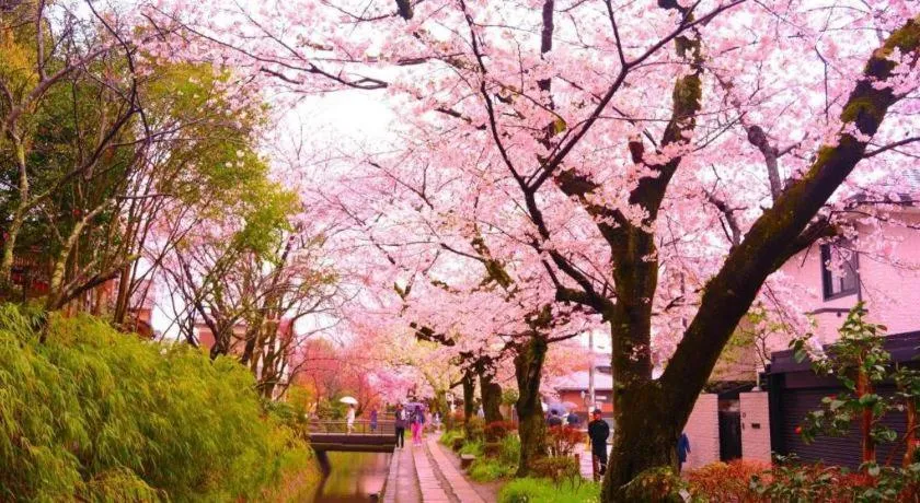 Hotel Legasta Gion Shirakawa