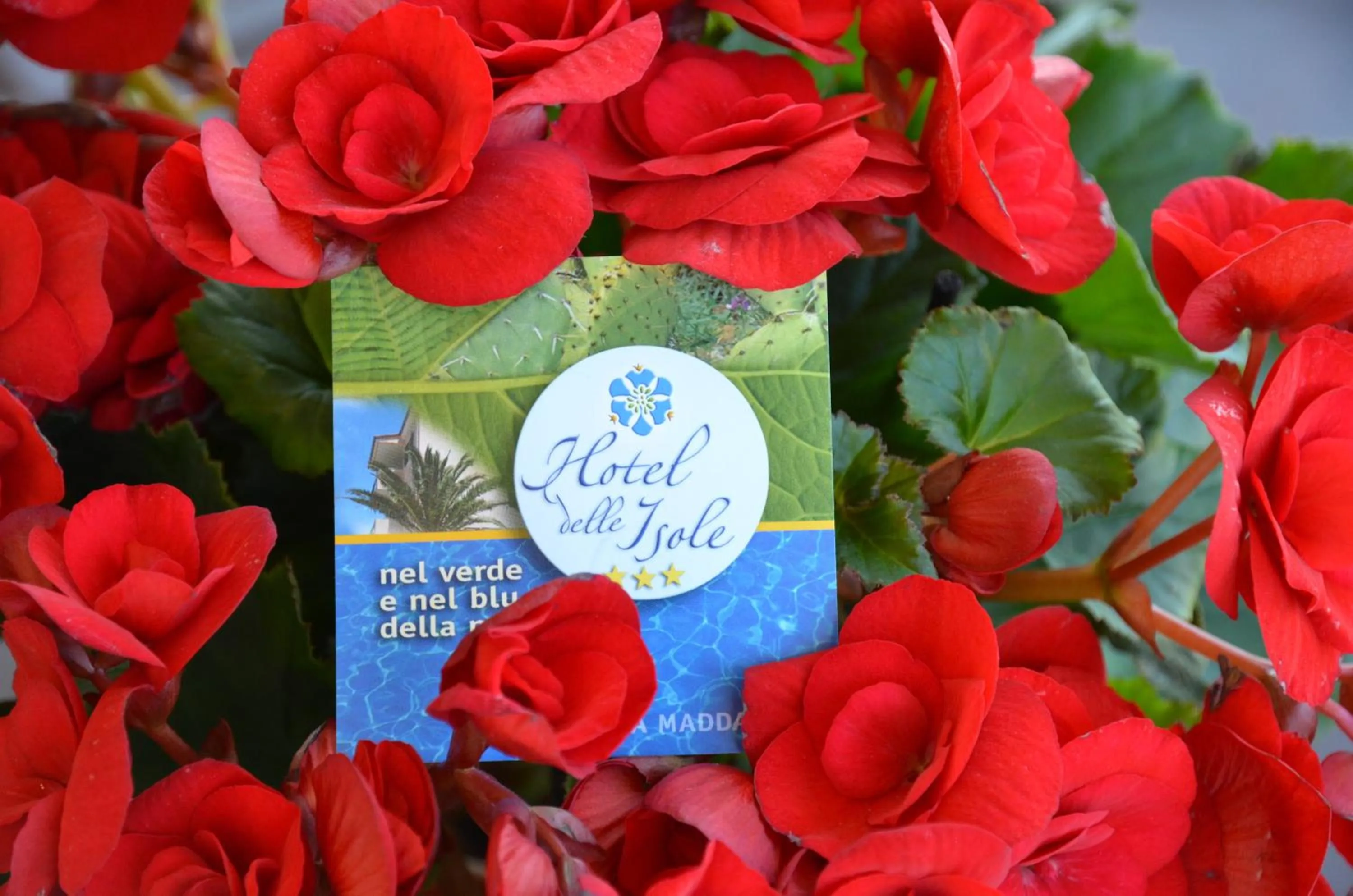 Logo/Certificate/Sign in Hotel Delle Isole