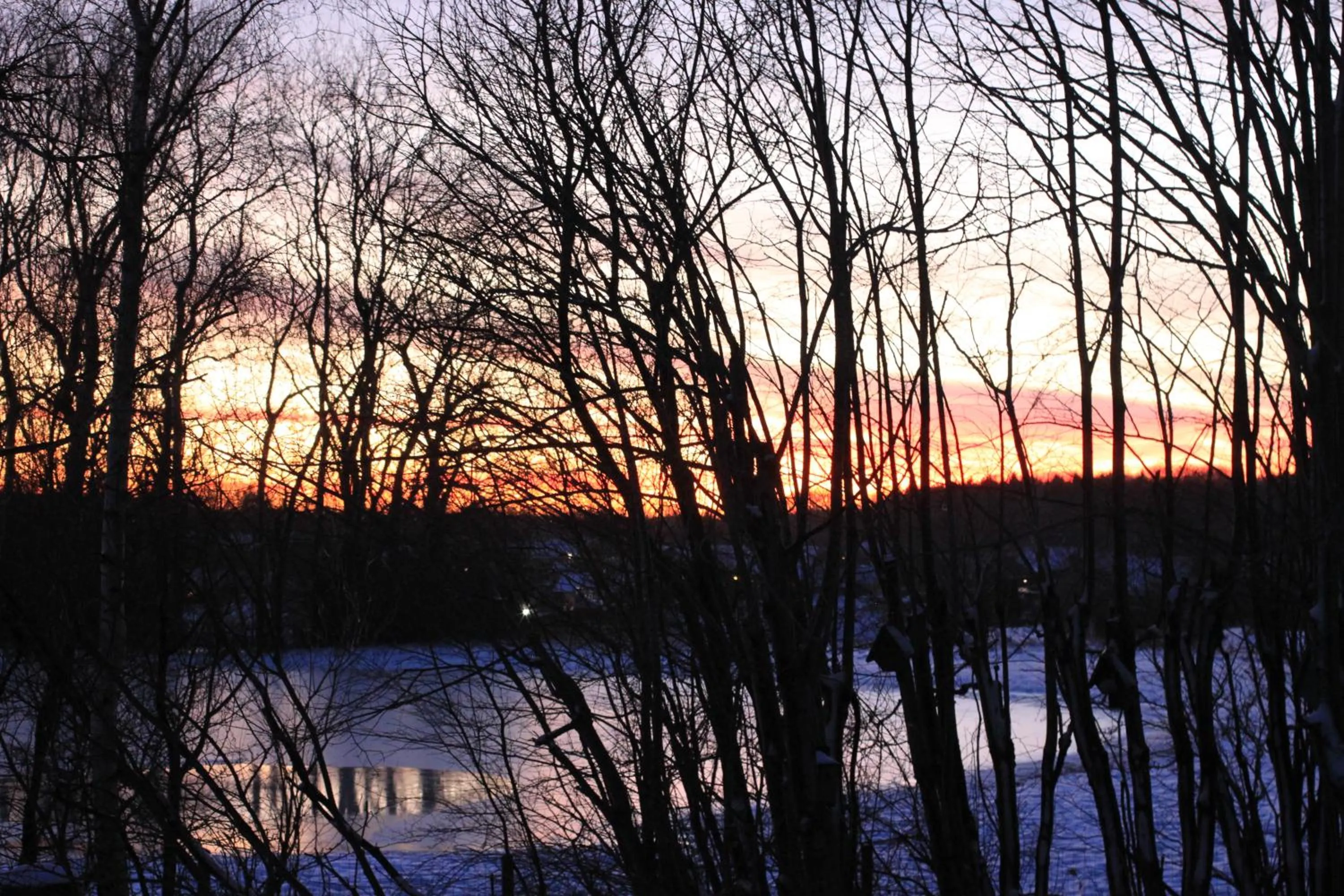 View (from property/room) in Borup Bed & Breakfast