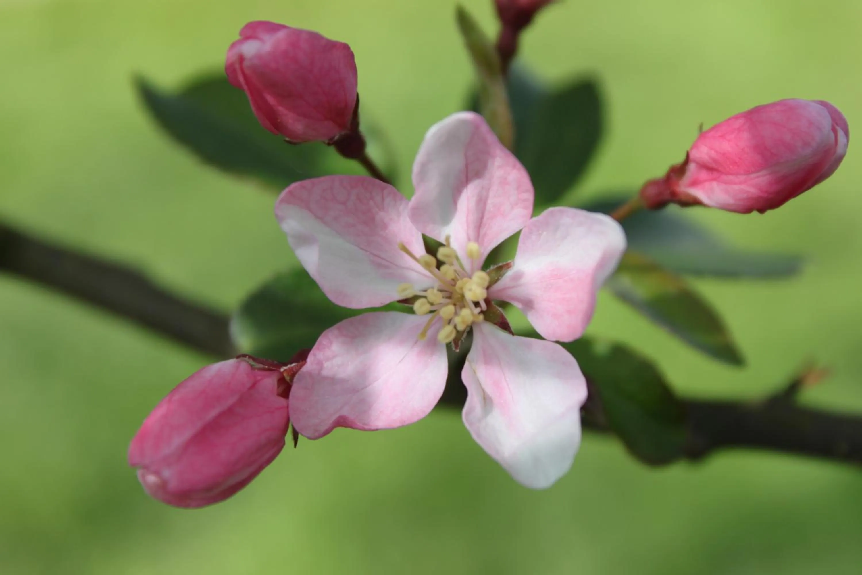 Property building in Borup Bed & Breakfast