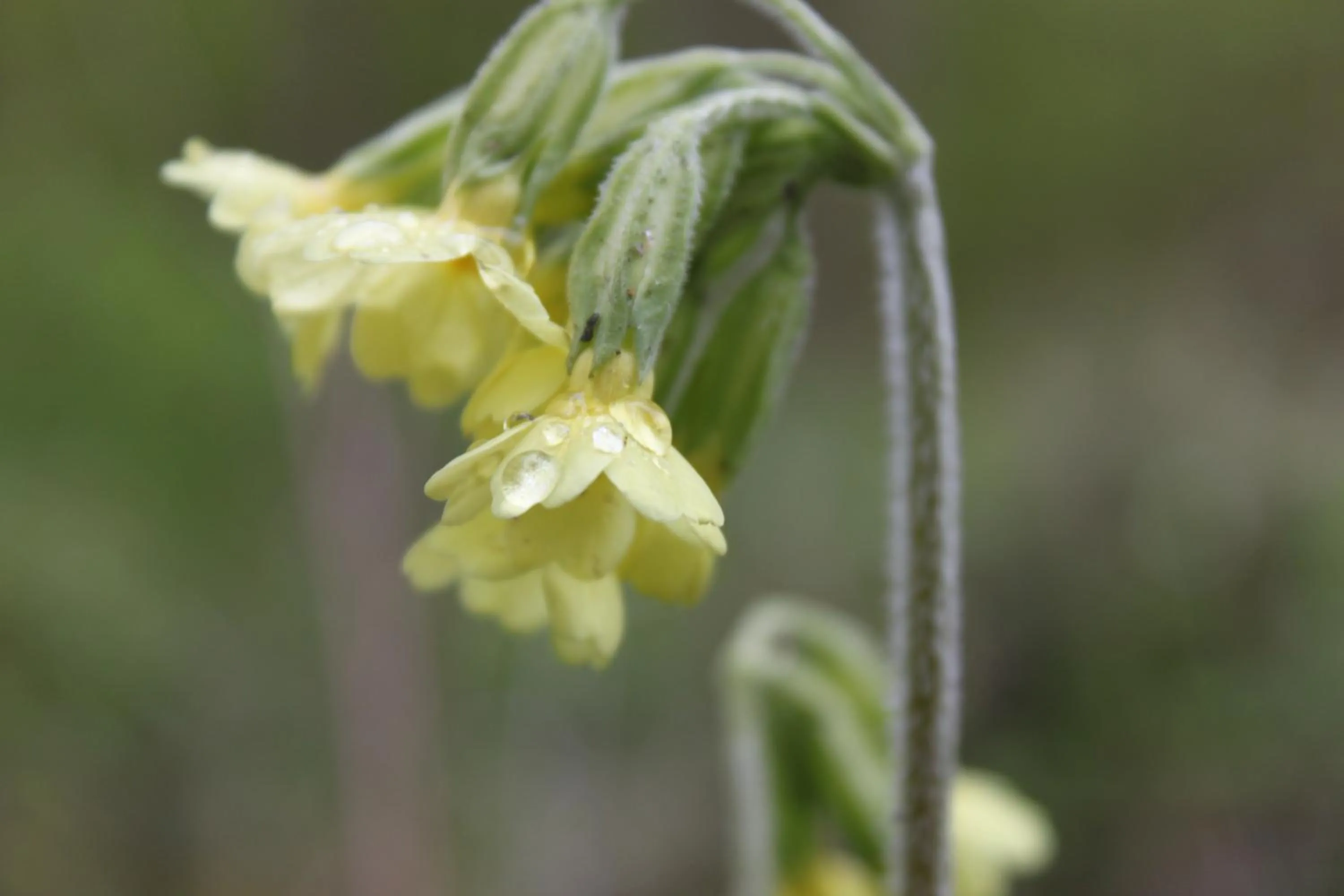 Property building in Borup Bed & Breakfast