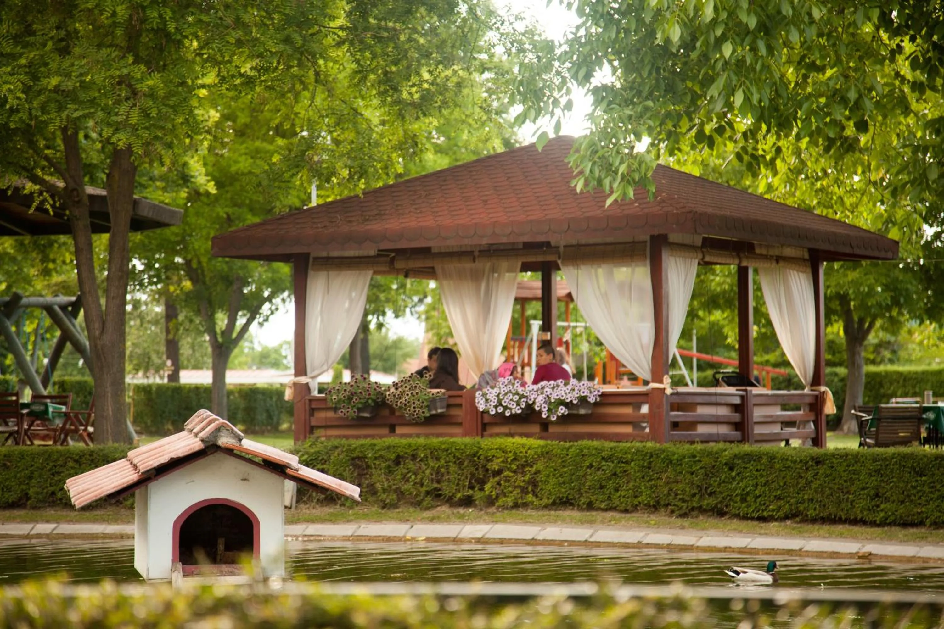 Garden in Hotel Bellevue