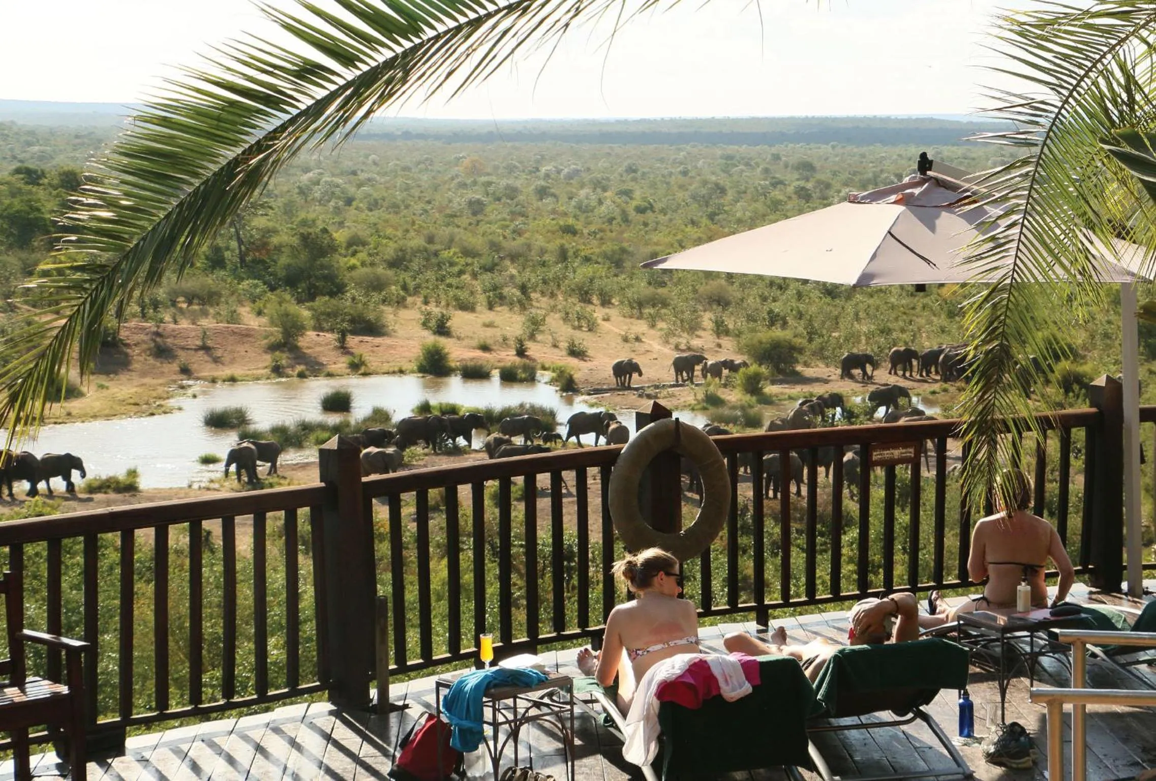 Animals in Victoria Falls Safari Lodge