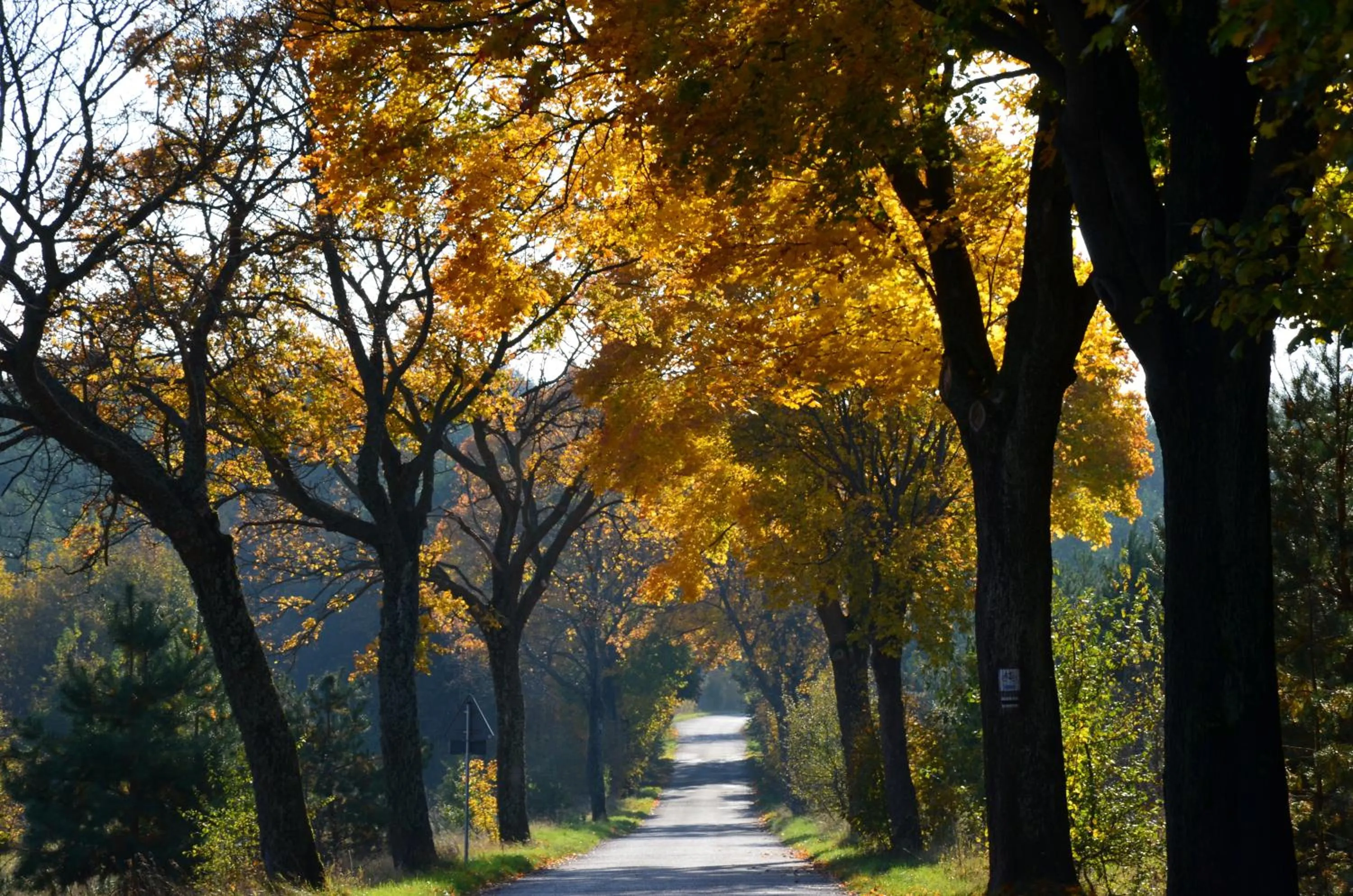 Neighbourhood in Stara Szkoła w Harszu