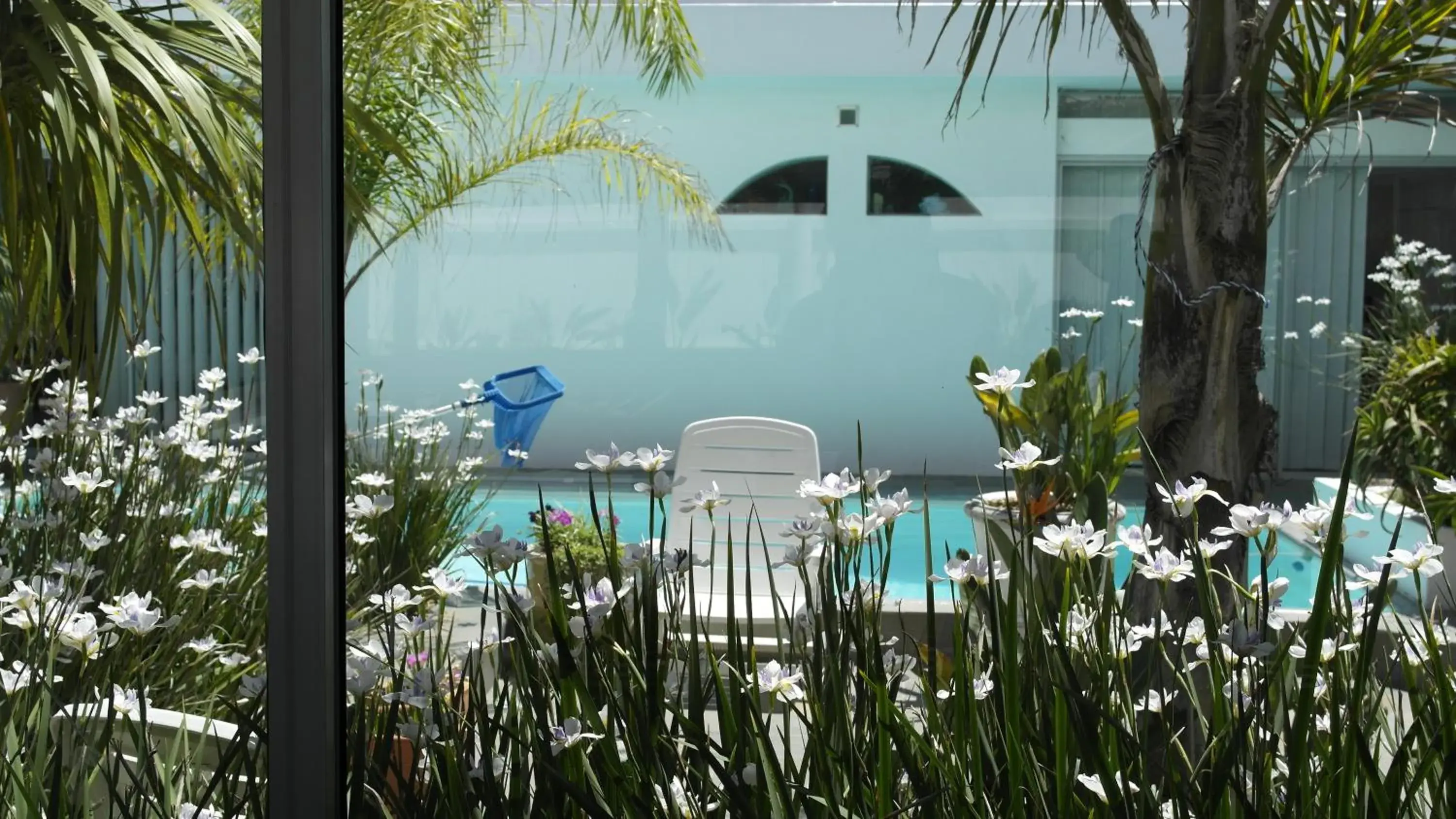 Double Room in Admiralty Bed & Breakfast Double Room in Admiralty Bed & Breakfast