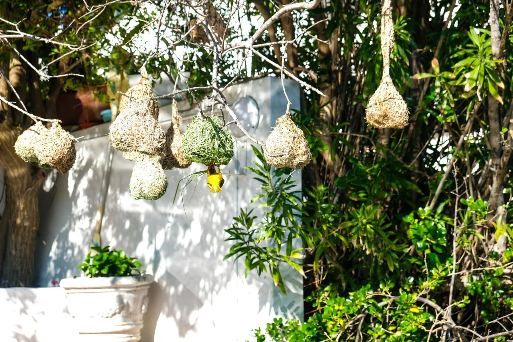 Garden in Admiralty Bed & Breakfast