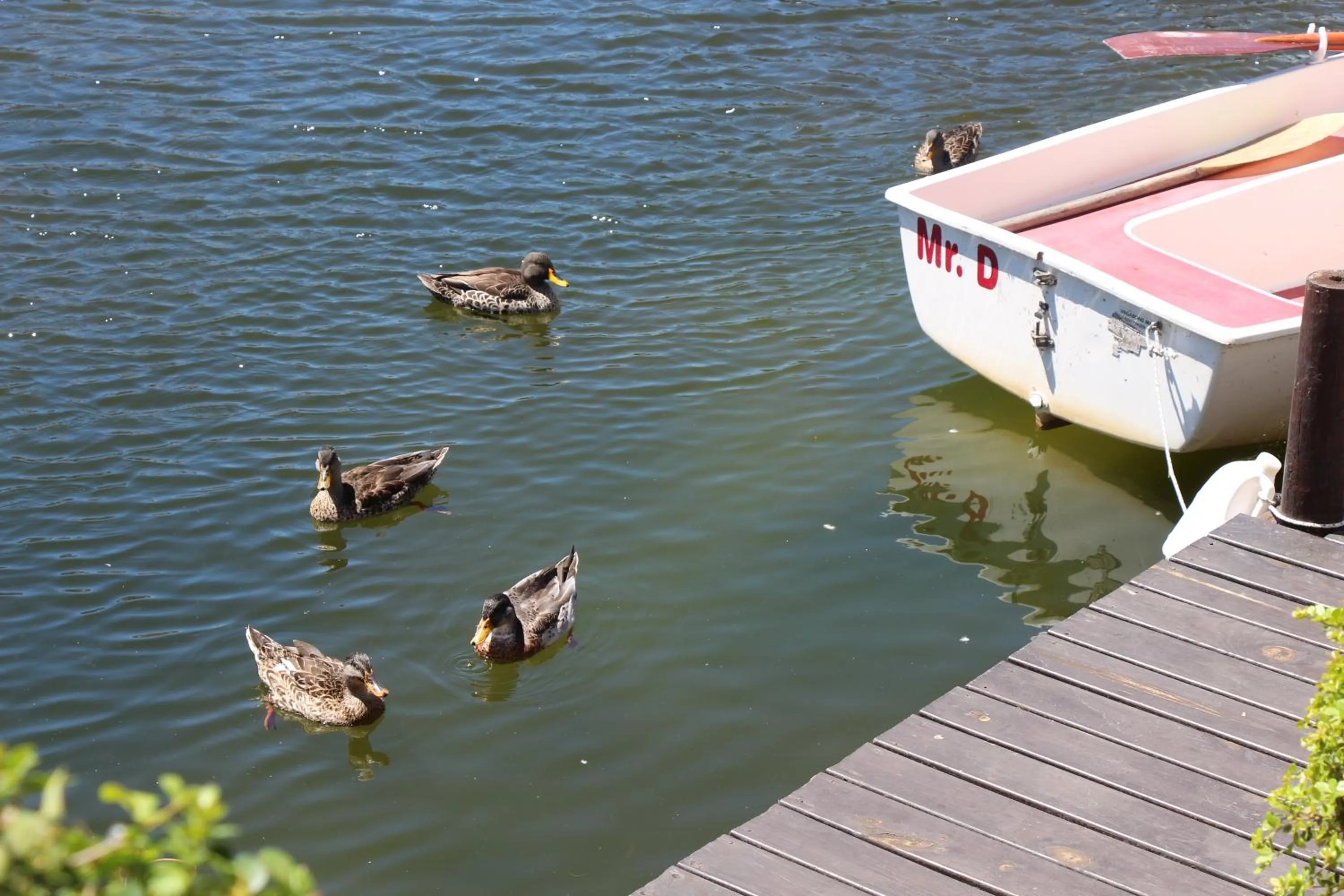 Other in Admiralty Bed & Breakfast