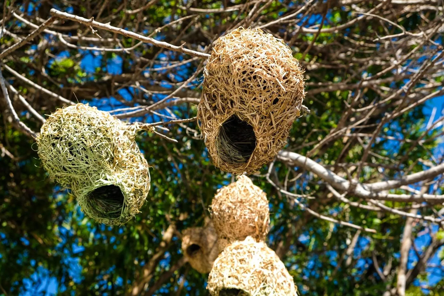 Natural landscape in Admiralty Bed & Breakfast