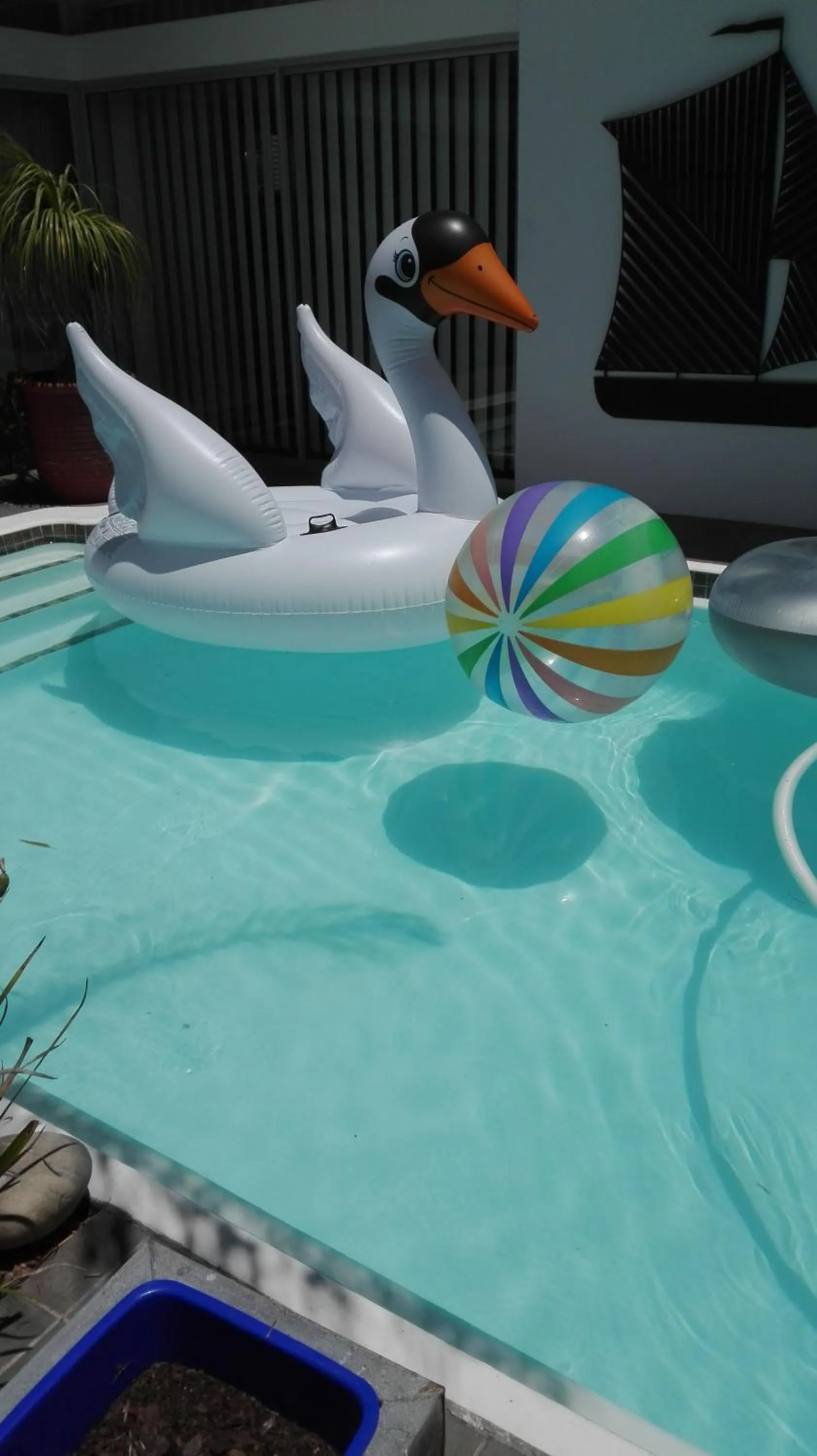 Swimming pool in Admiralty Bed & Breakfast