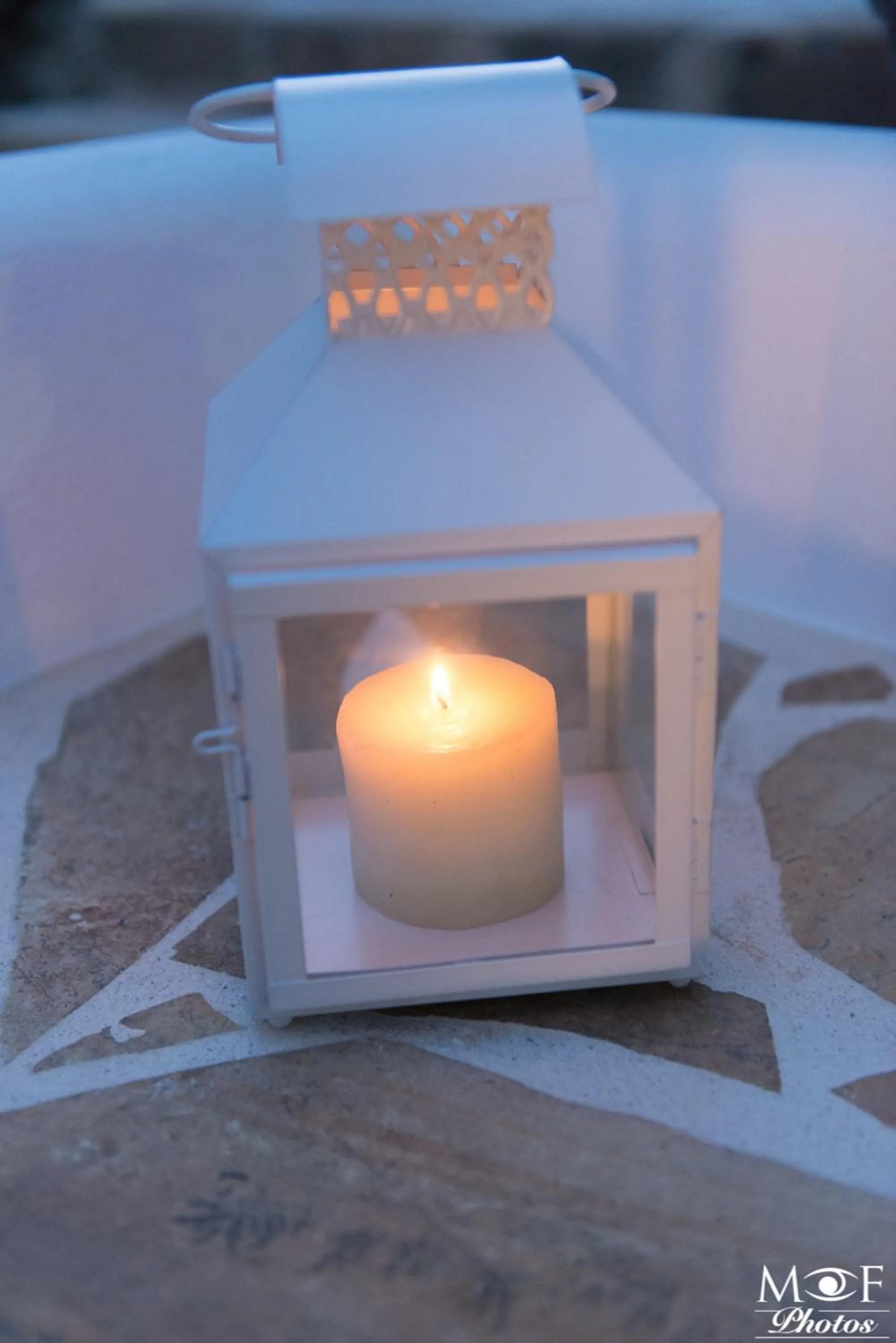 Garden in Hotel Elena