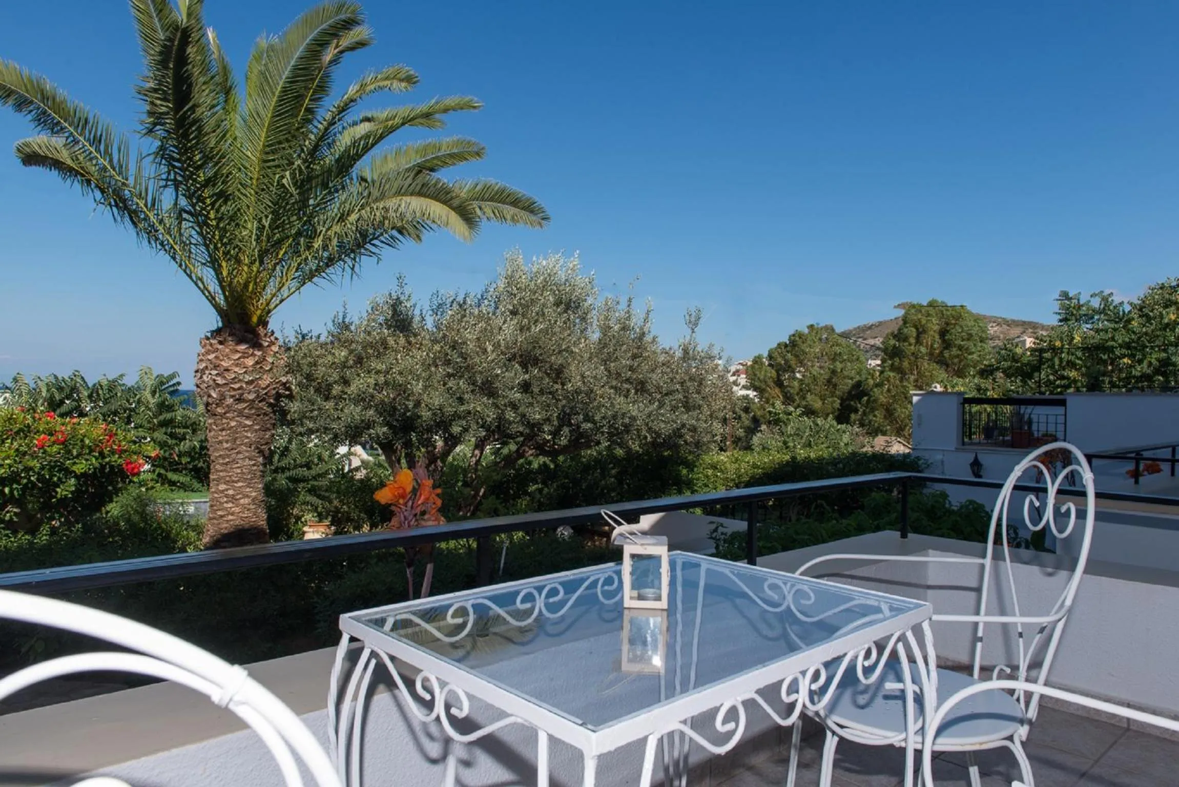 Garden view in Hotel Elena