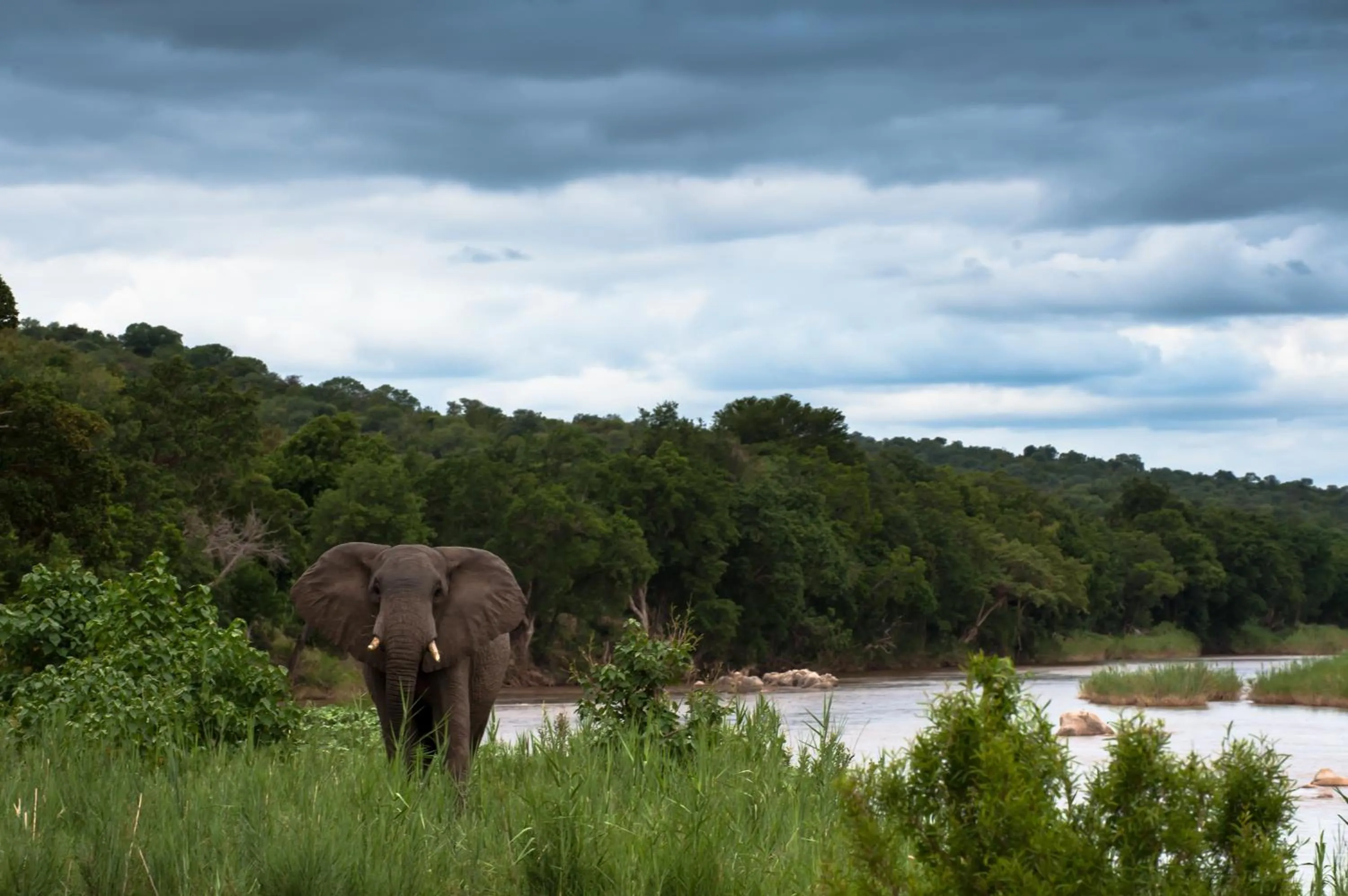 Summer in Maninghi Lodge