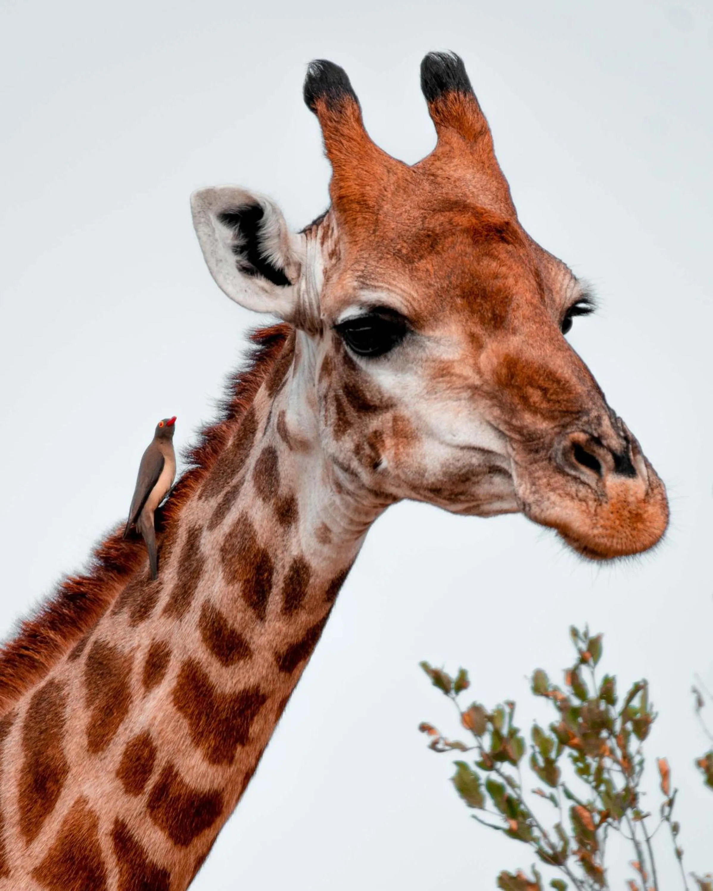 View (from property/room) in Maninghi Lodge