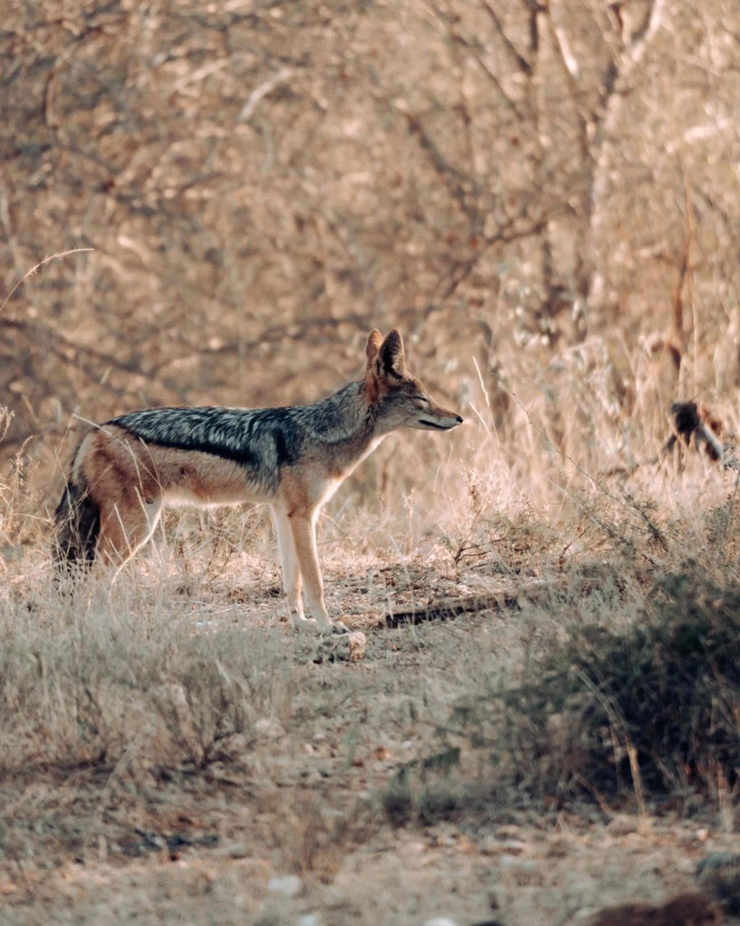 Natural landscape in Maninghi Lodge