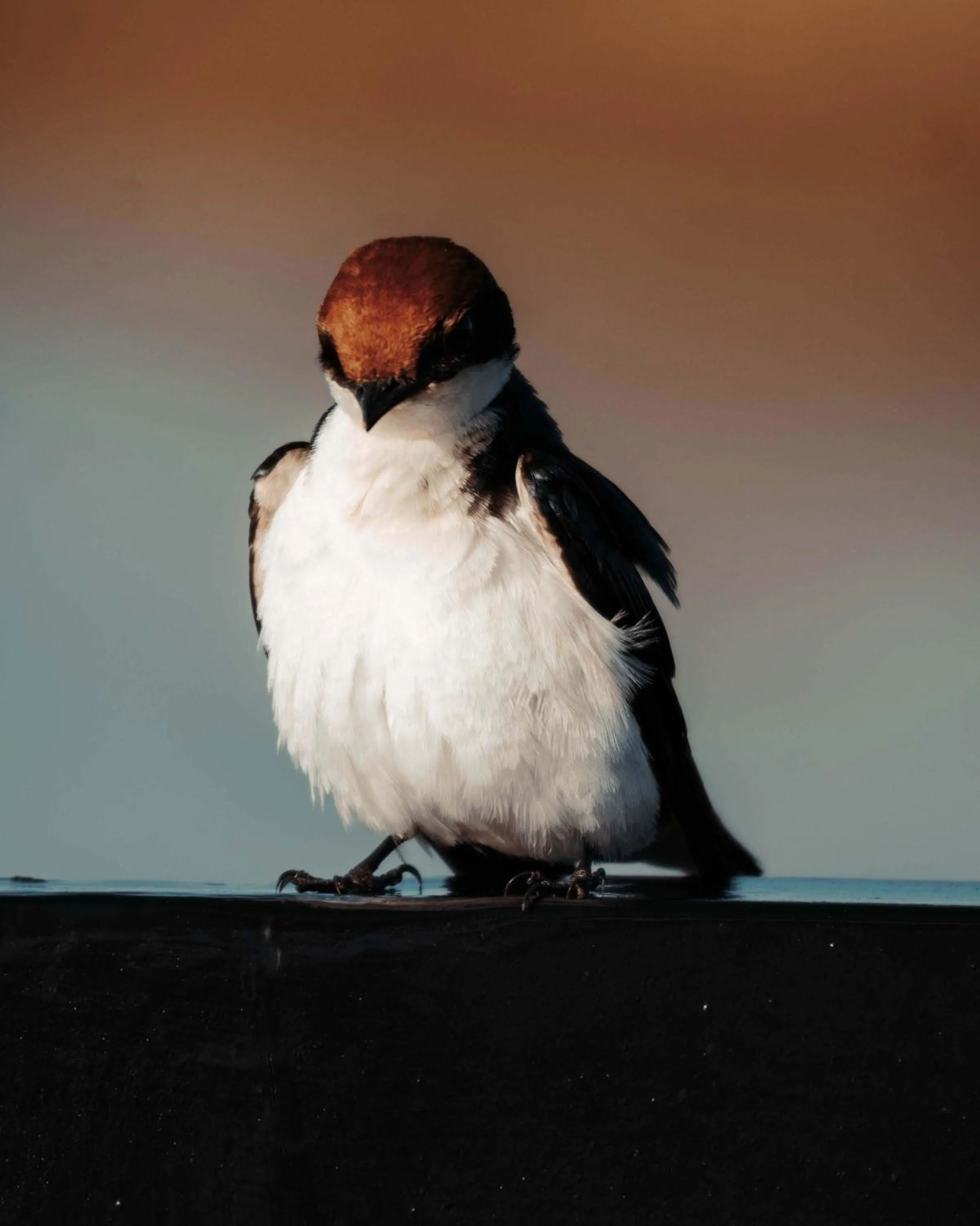 View (from property/room) in Maninghi Lodge