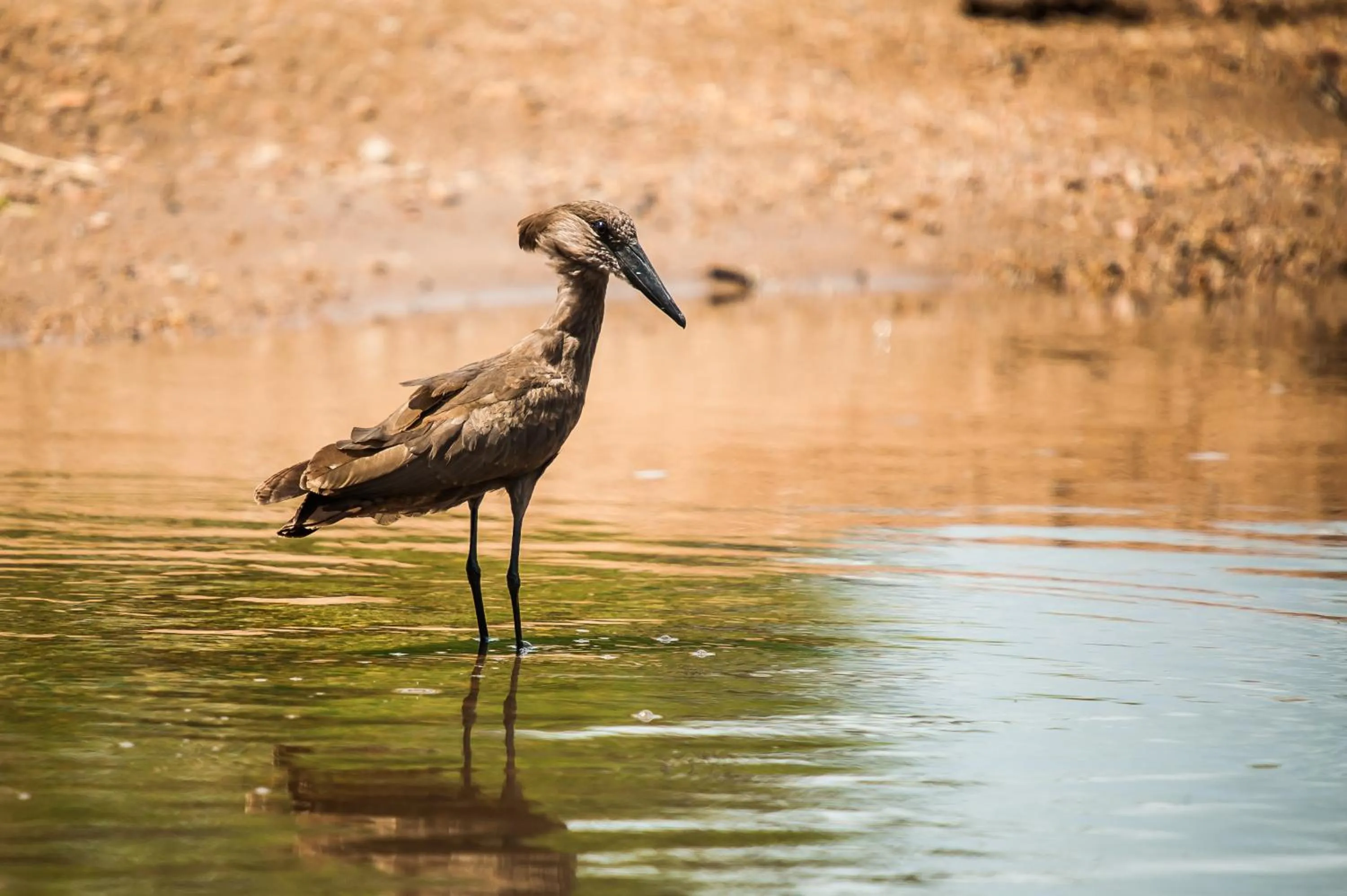 Natural landscape in Maninghi Lodge