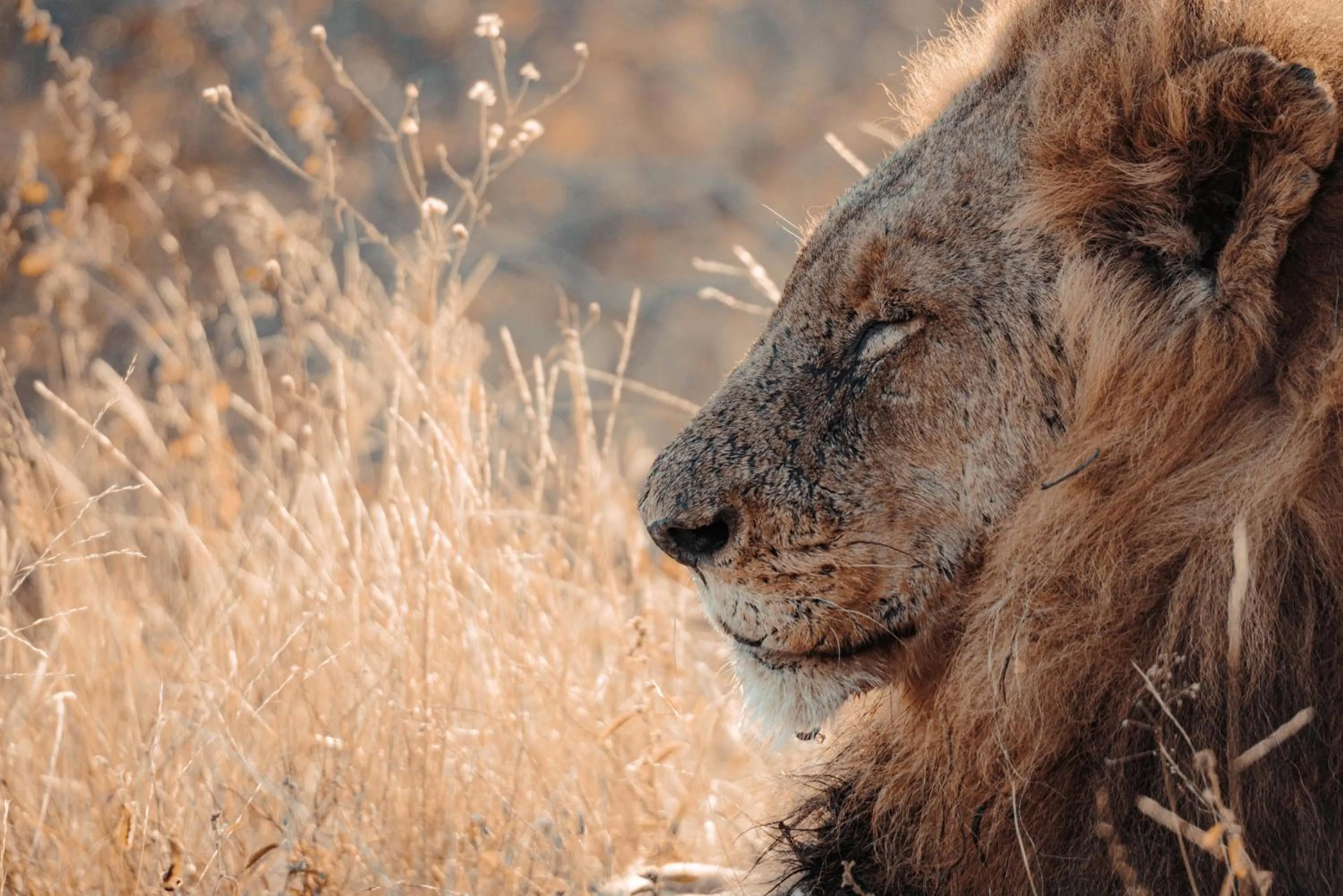View (from property/room) in Maninghi Lodge