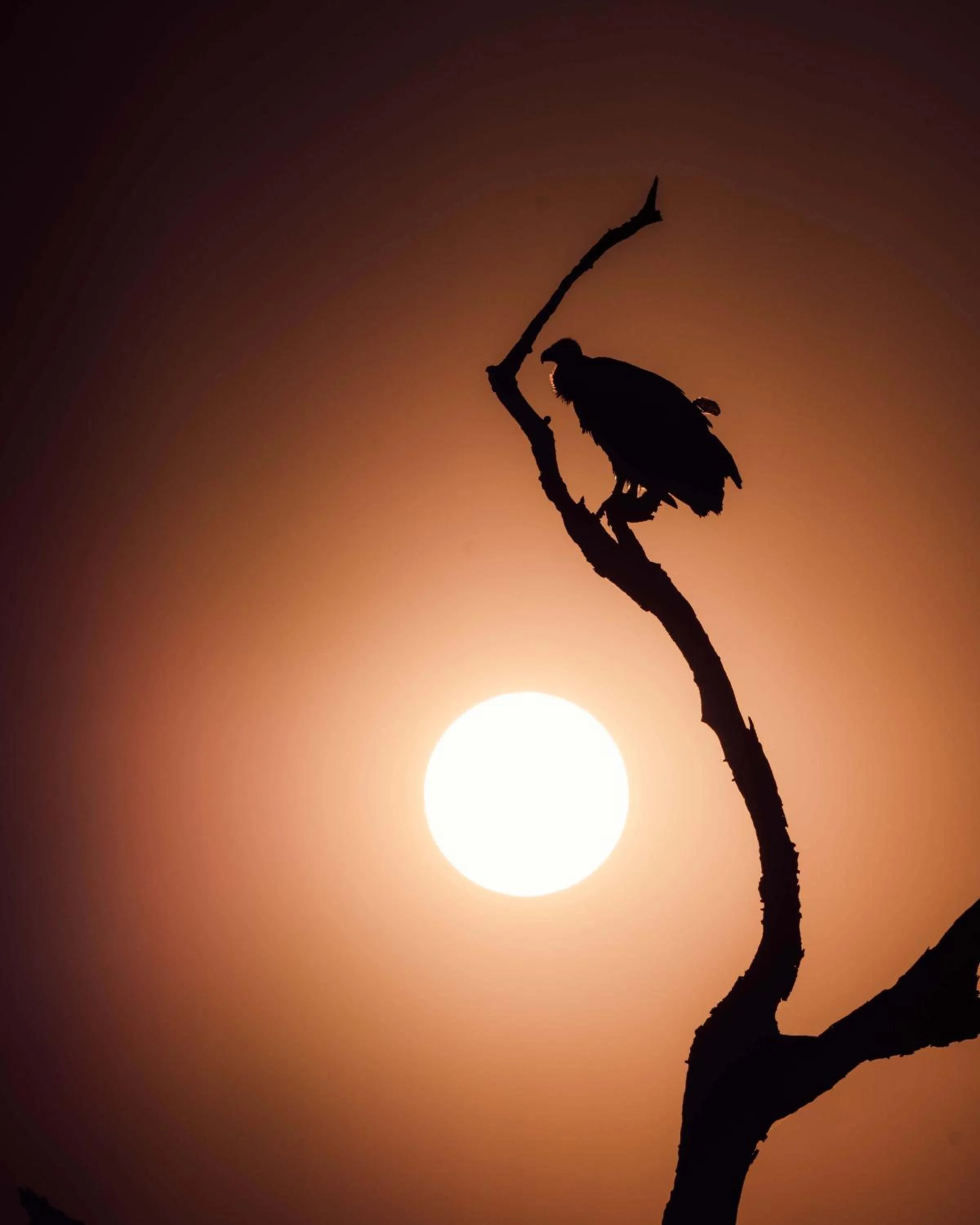 View (from property/room) in Maninghi Lodge