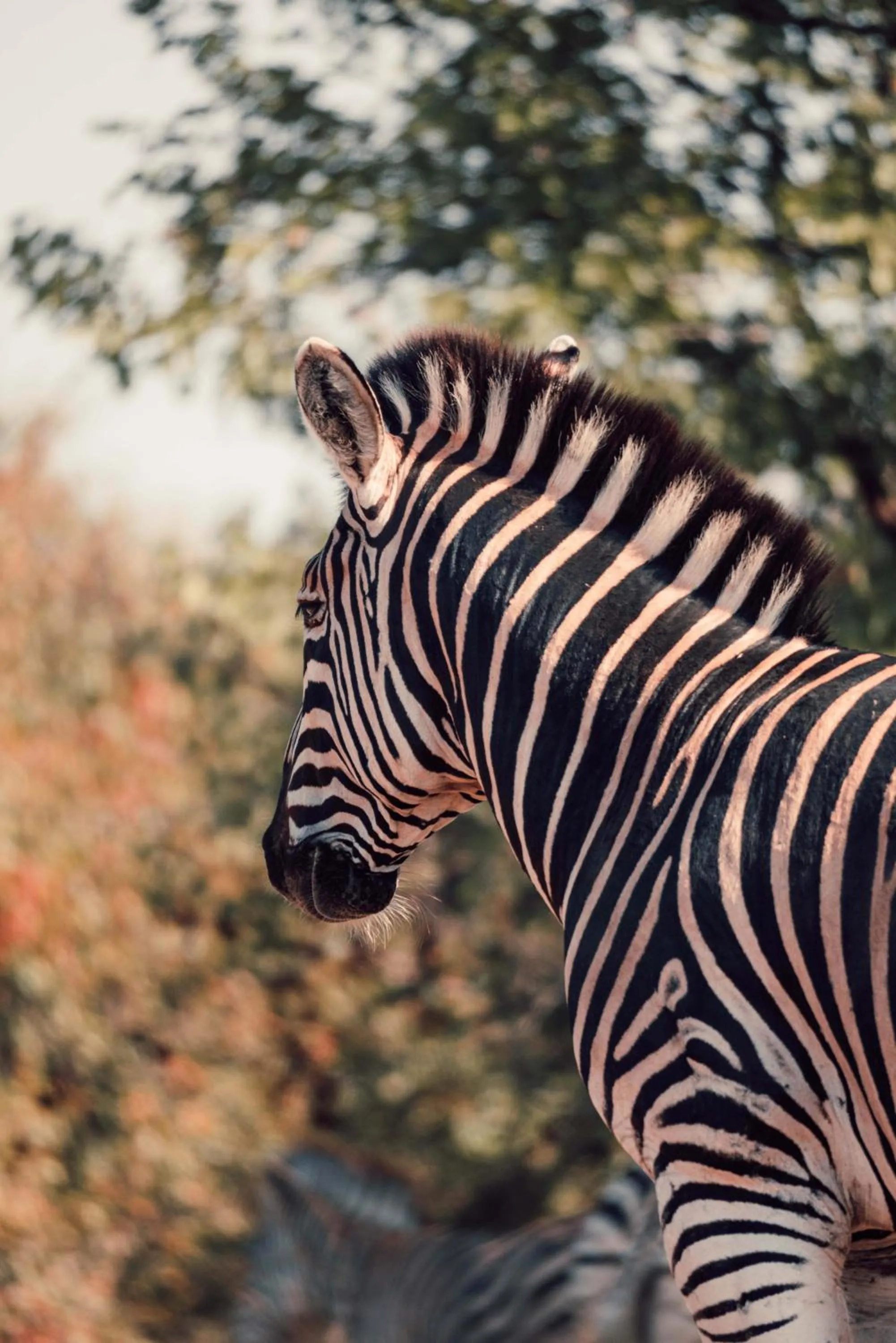 View (from property/room) in Maninghi Lodge