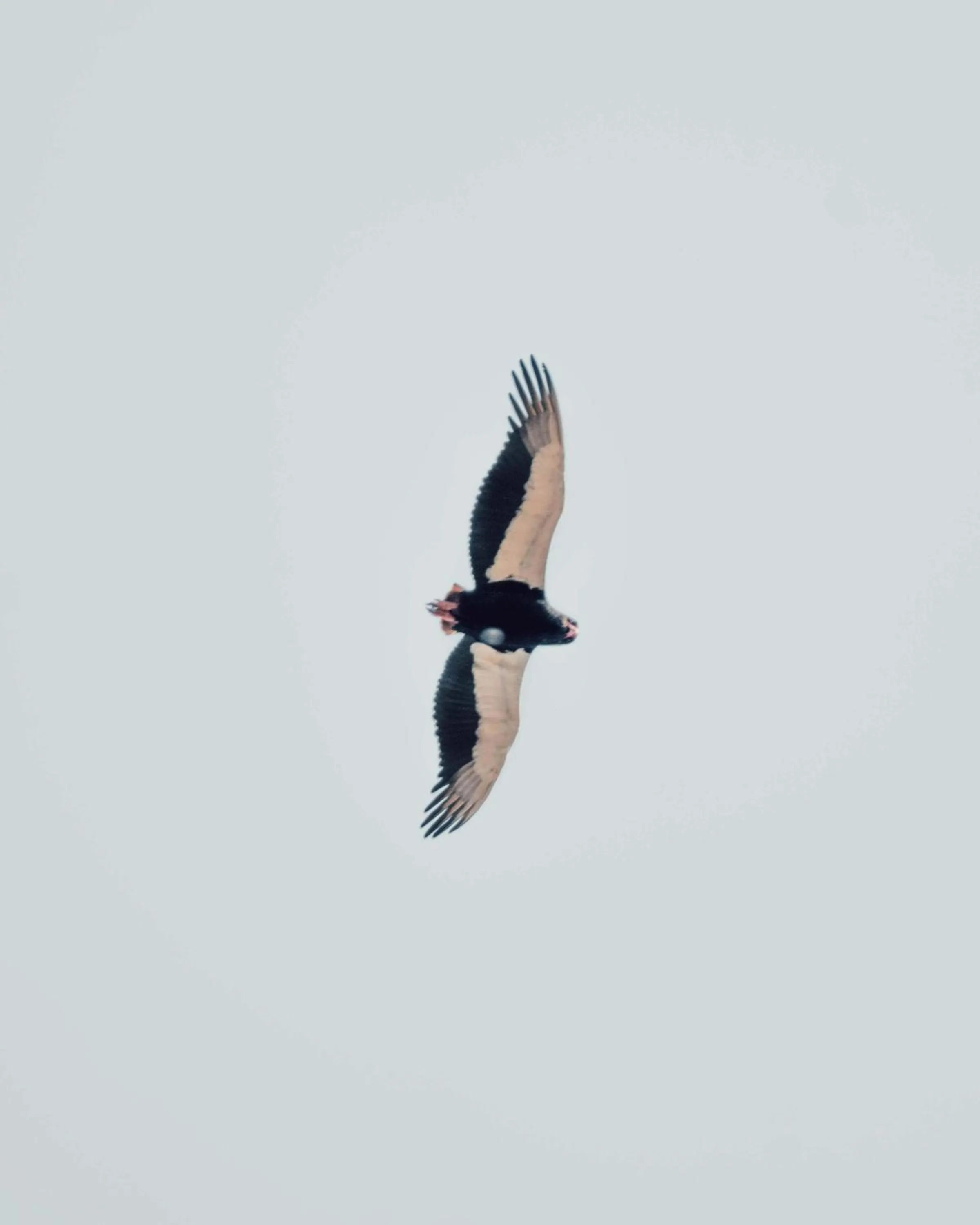 View (from property/room) in Maninghi Lodge