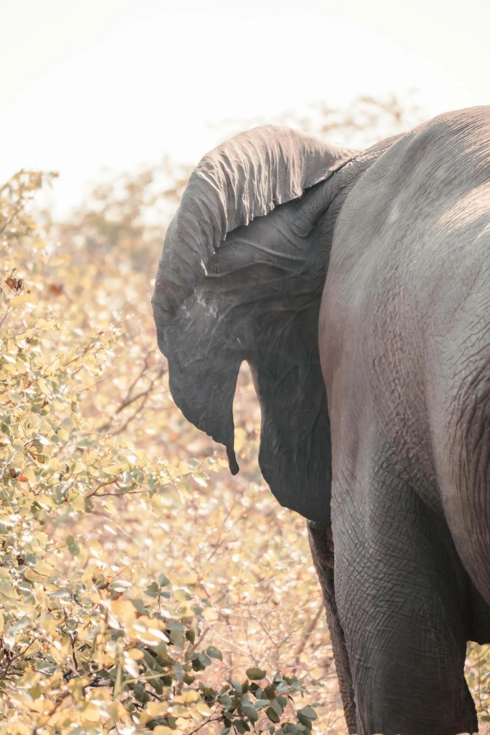 View (from property/room) in Maninghi Lodge