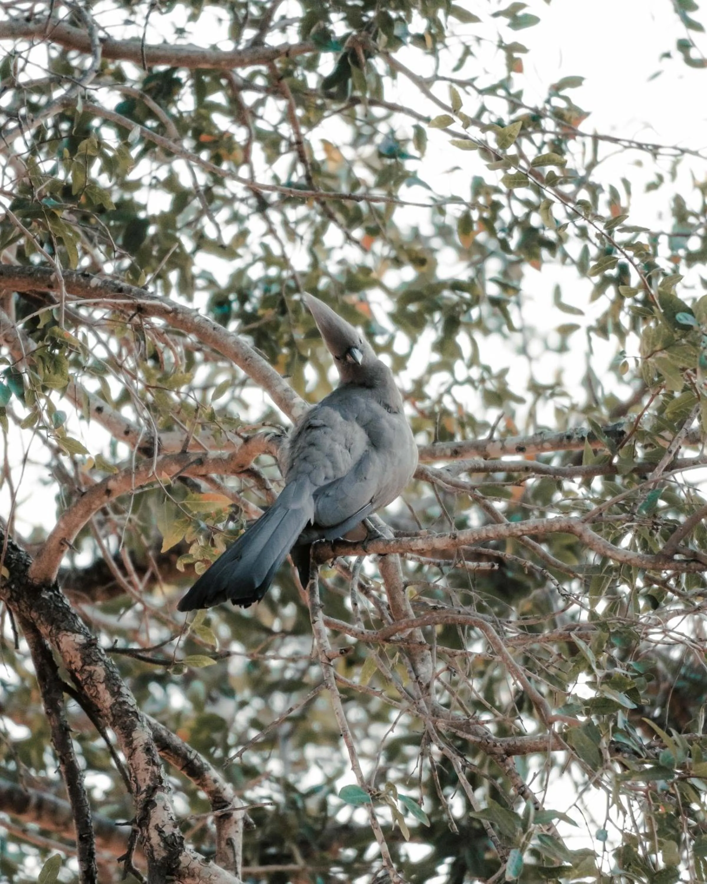 View (from property/room) in Maninghi Lodge