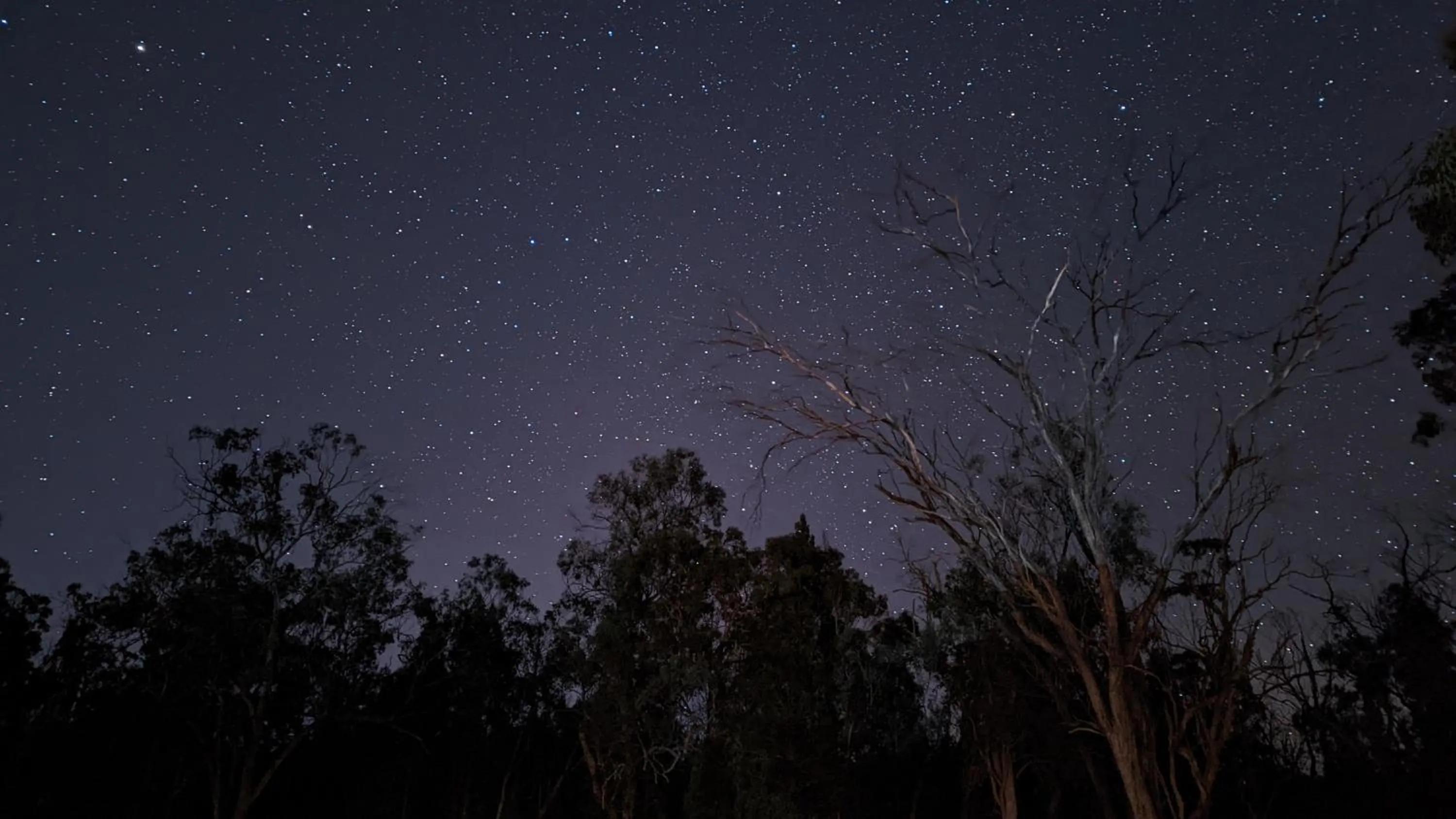 Night in Diamondvale Estate Stanthorpe
