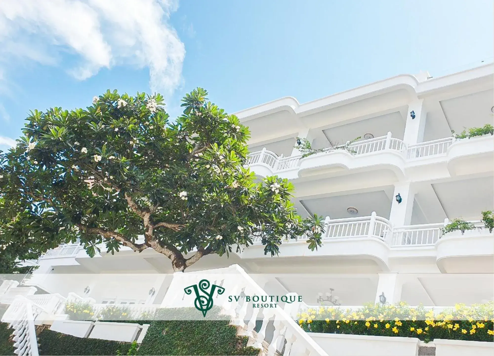 Suite in SV Boutique Resort Suite in SV Boutique Resort