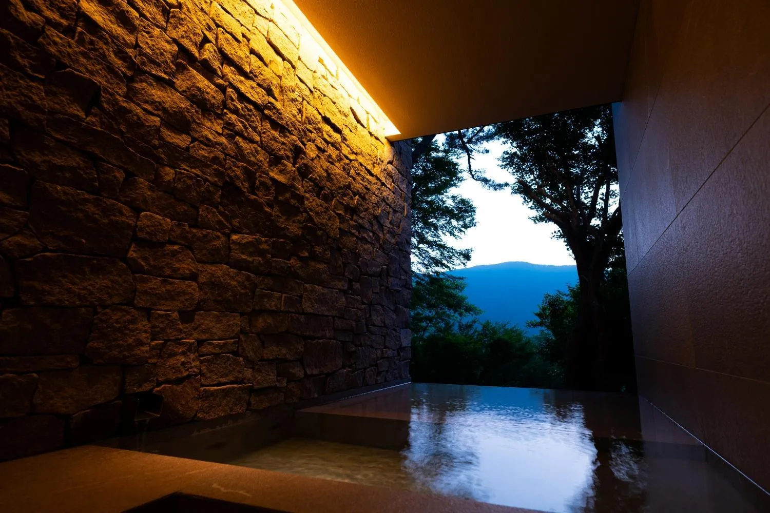 Hot Spring Bath in Hakone Fontaine Bleau Sengokutei
