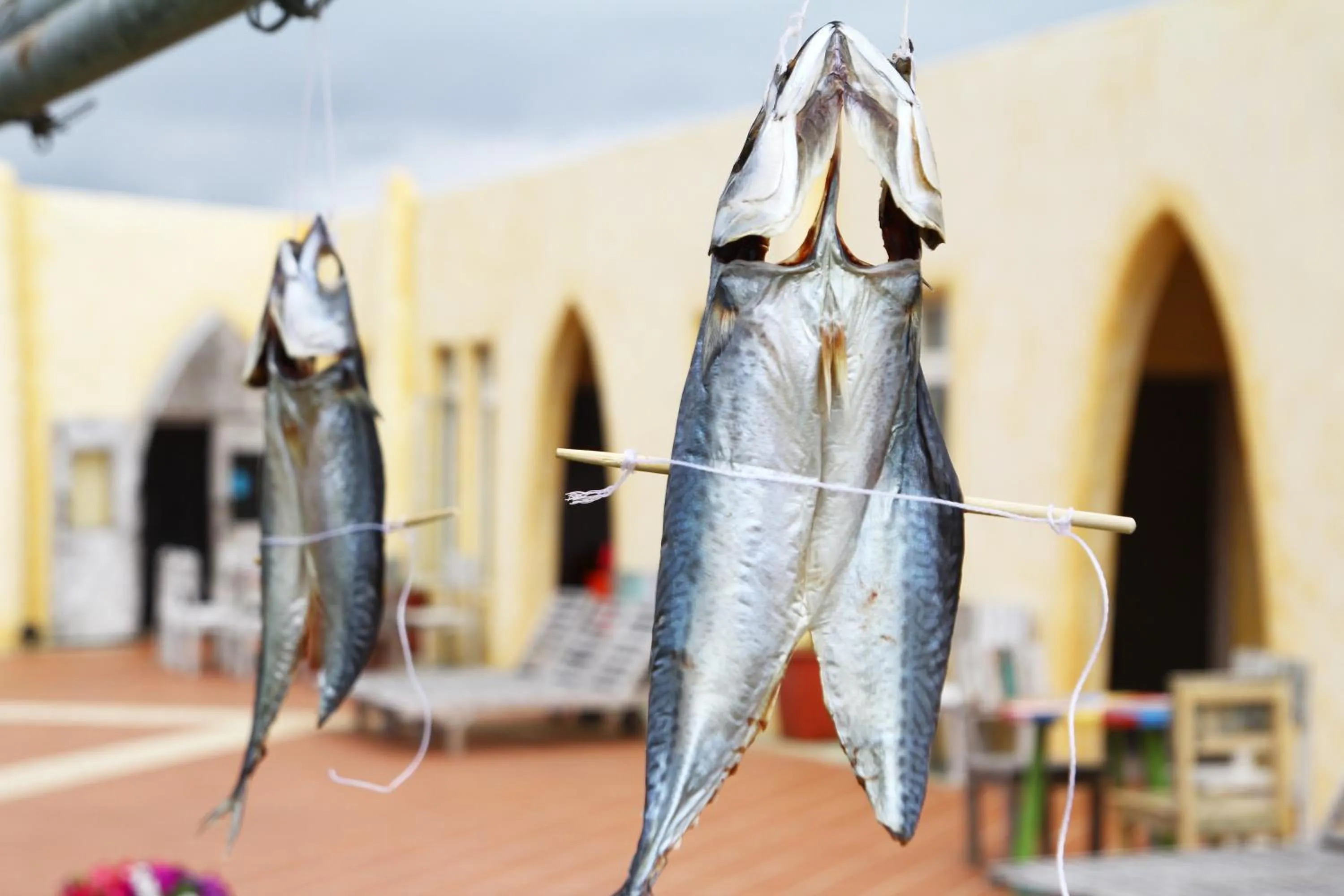 Property building in West Old House