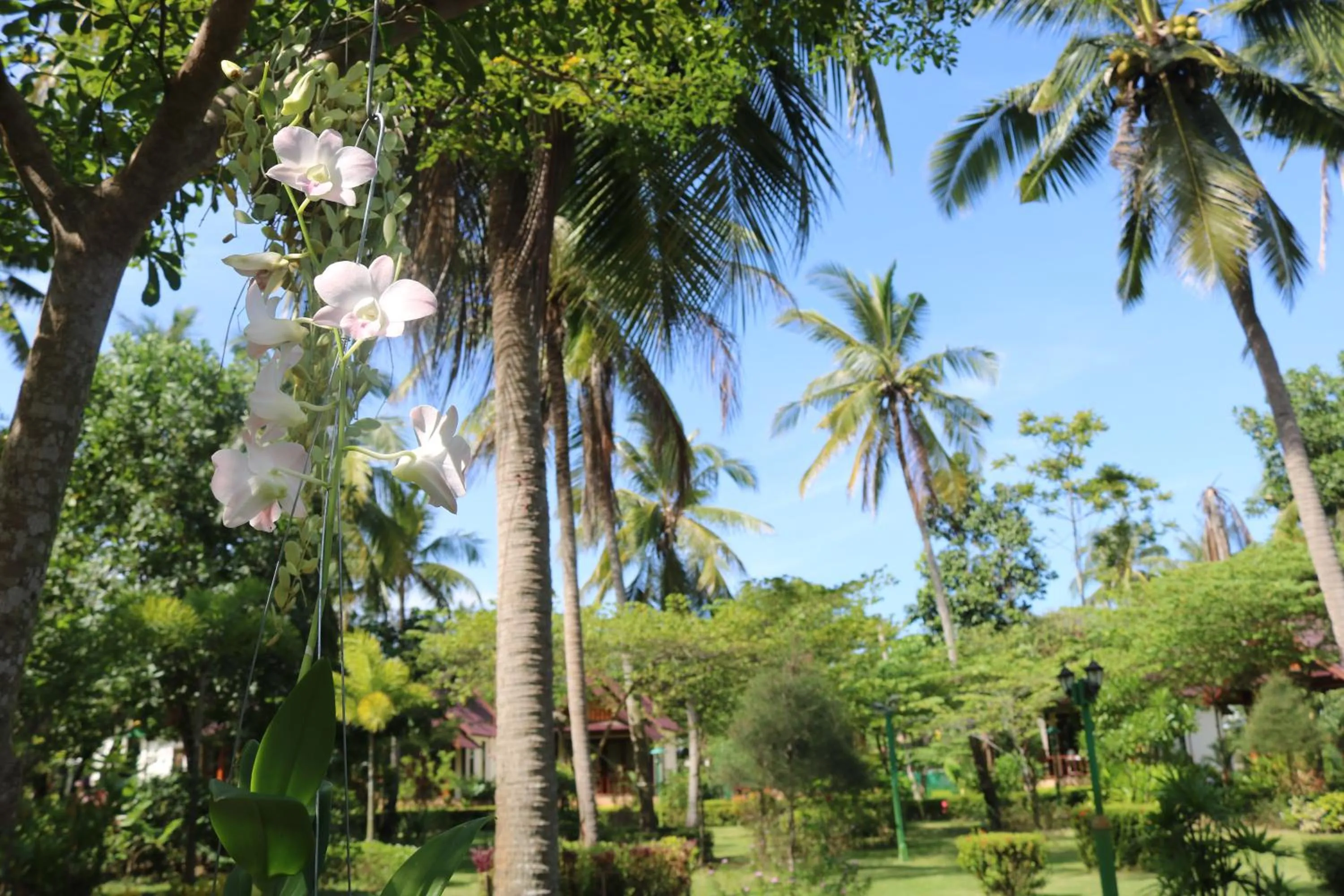 Other in Rasa sayang Resort - SHA Certificate