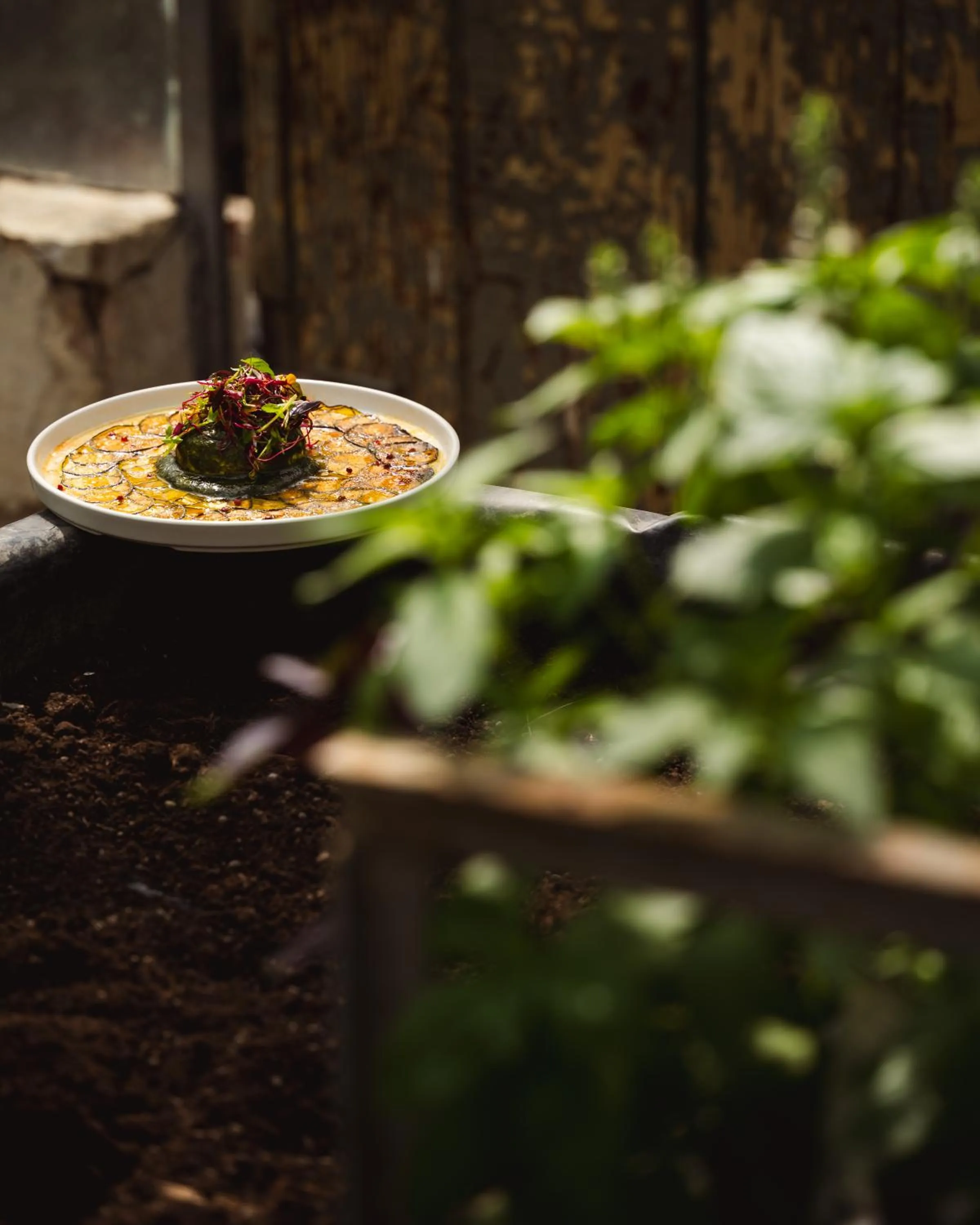 Restaurant/places to eat in ARCHE Klasztor Wrocław