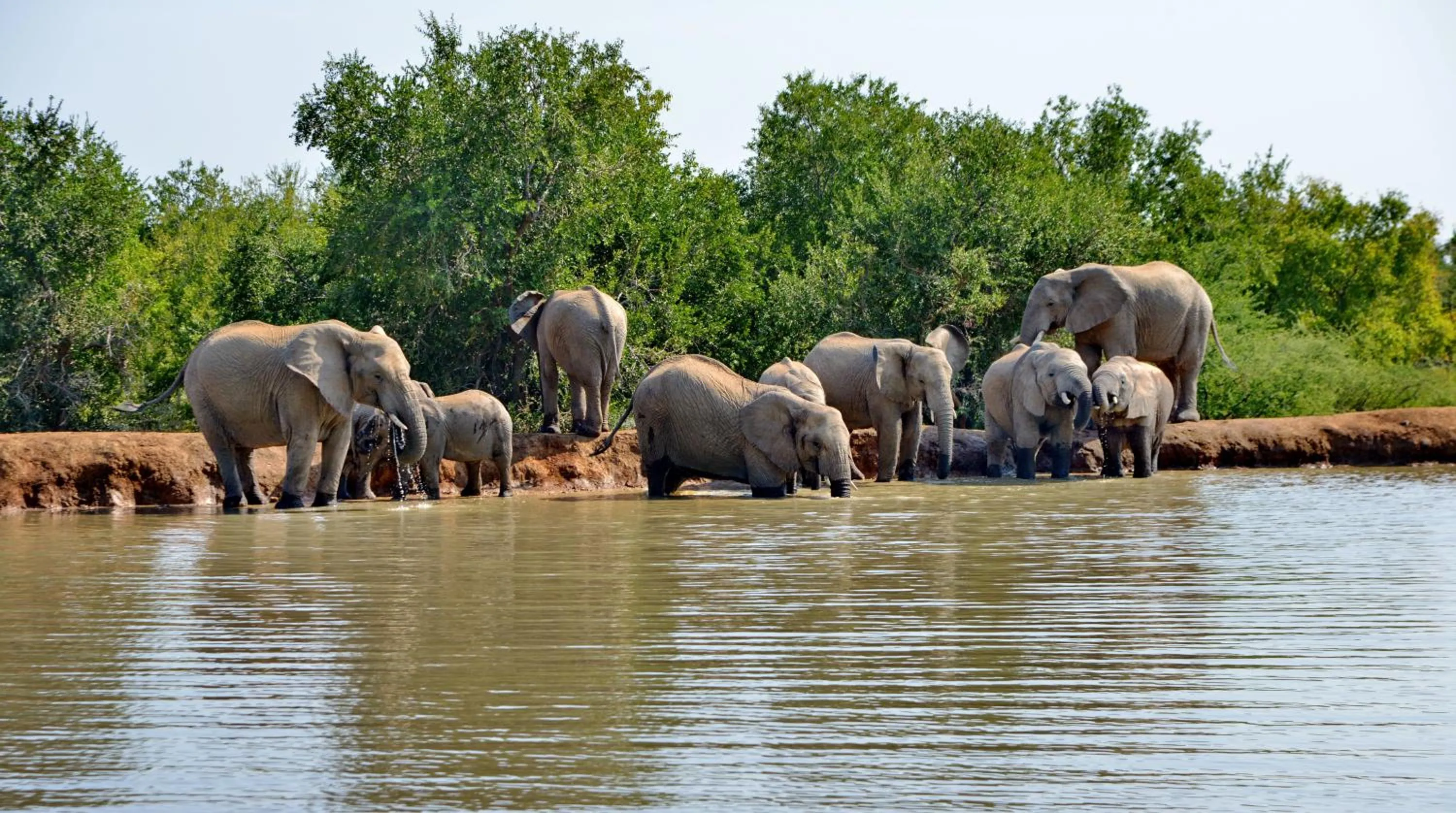 View (from property/room) in Black Rhino Game Lodge