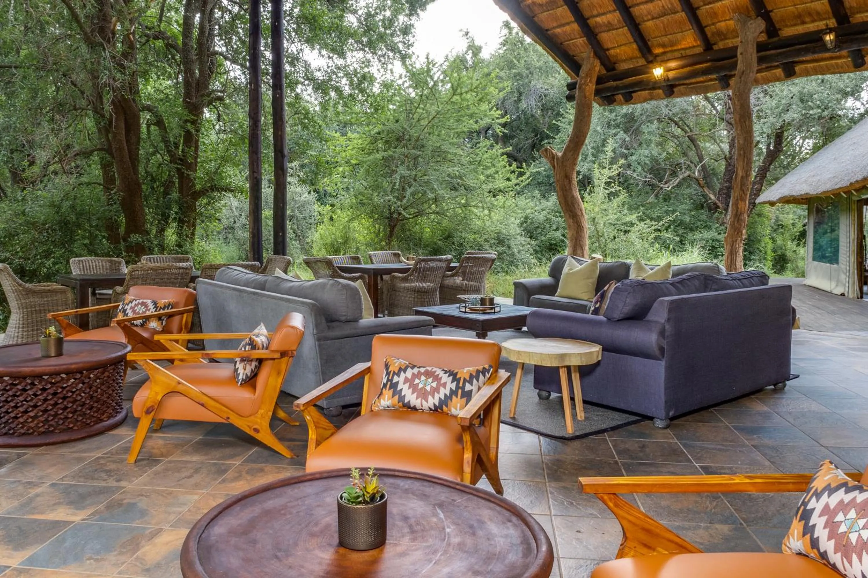 Lounge or bar in Black Rhino Game Lodge