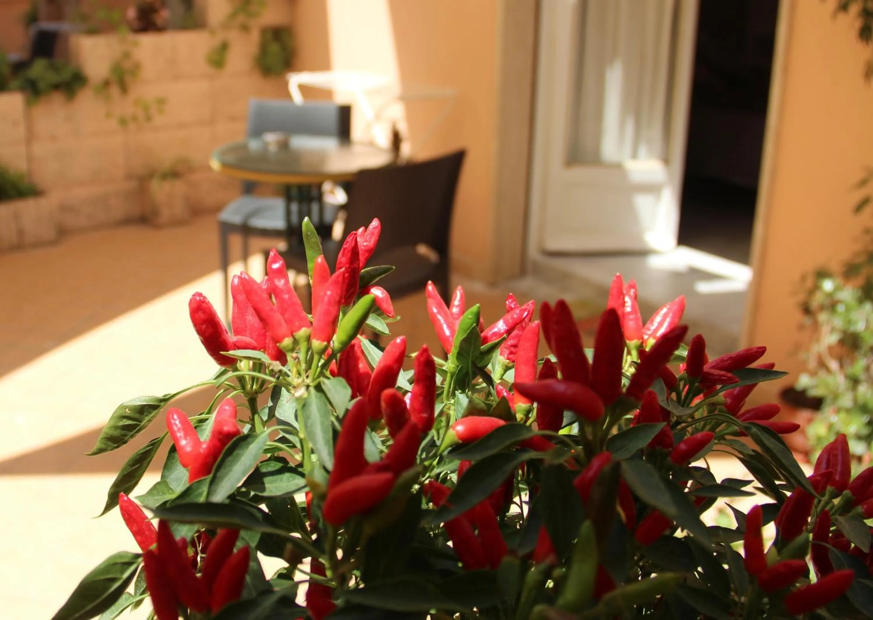 Balcony/Terrace in Be Inn