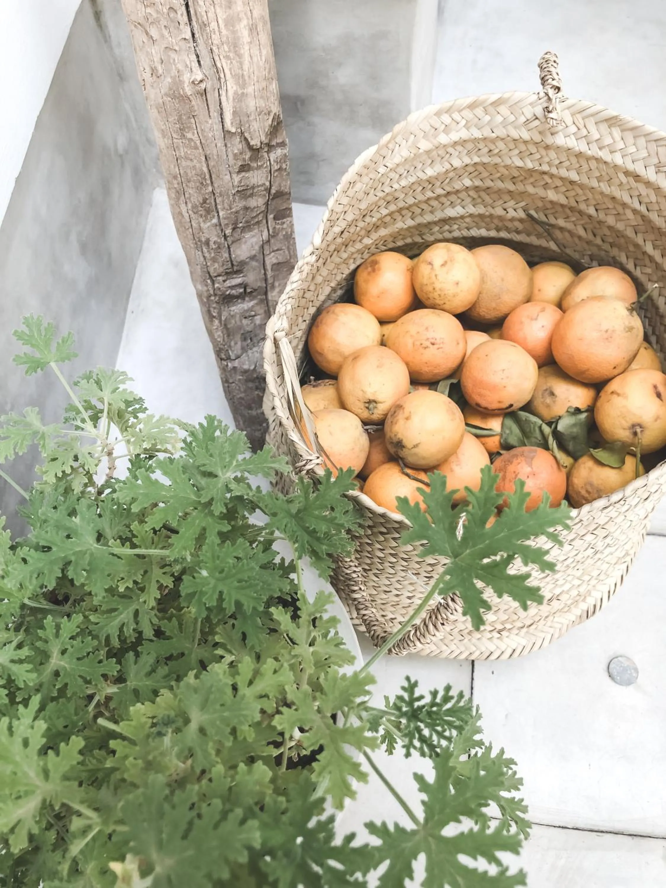 Decorative detail in Riad Dar-K