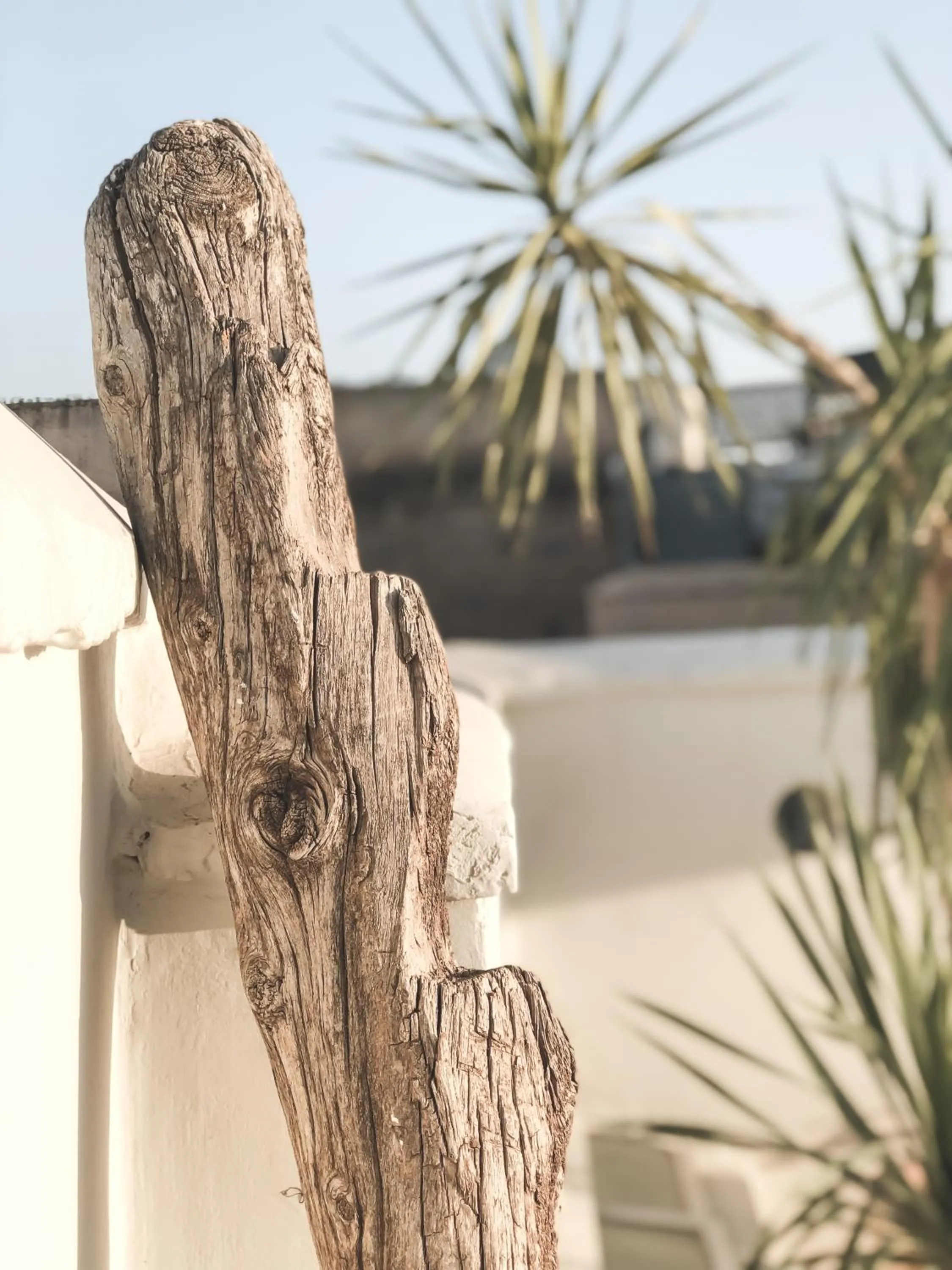 Decorative detail in Riad Dar-K
