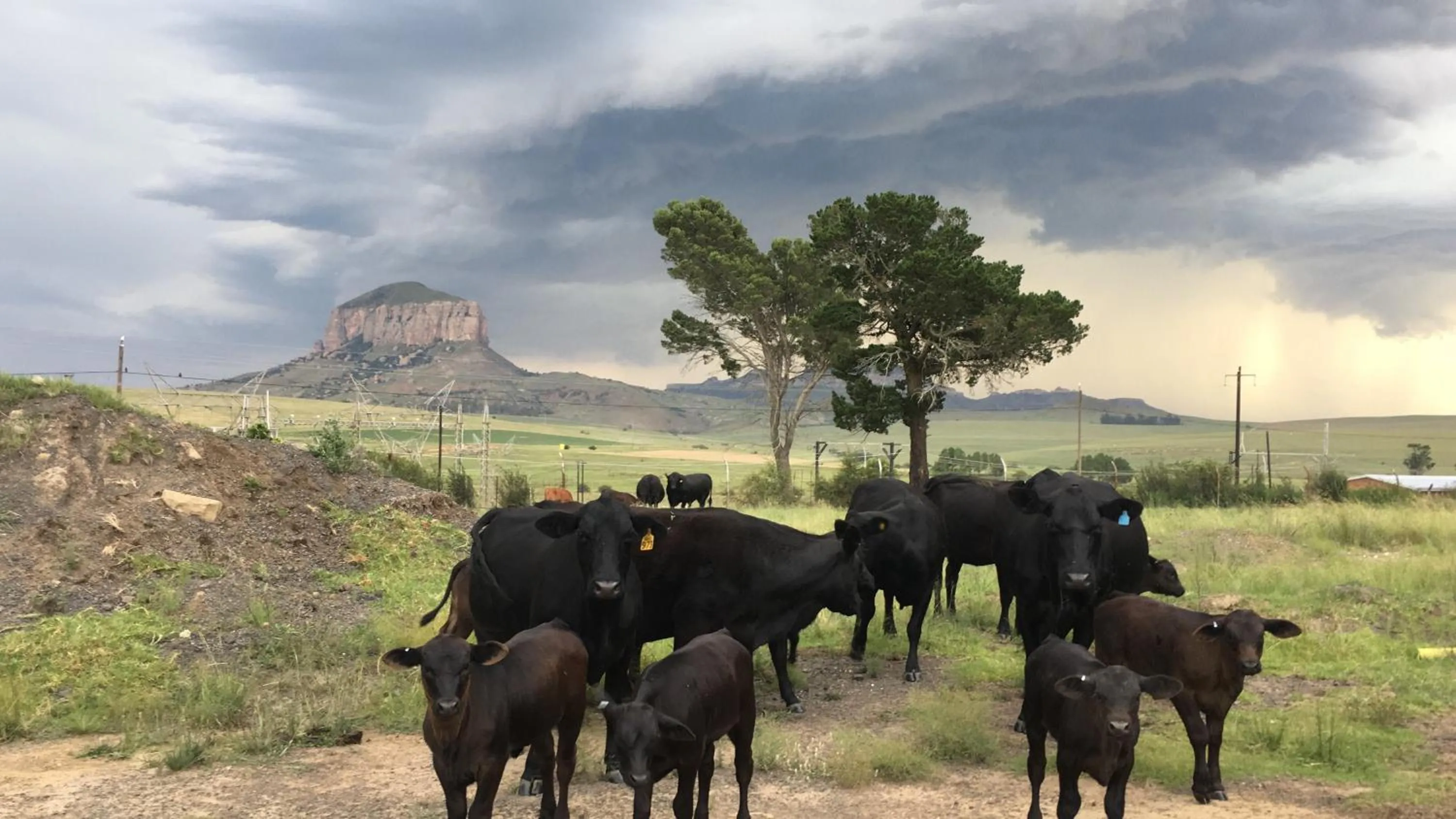 Natural landscape in Riverview Country Inn