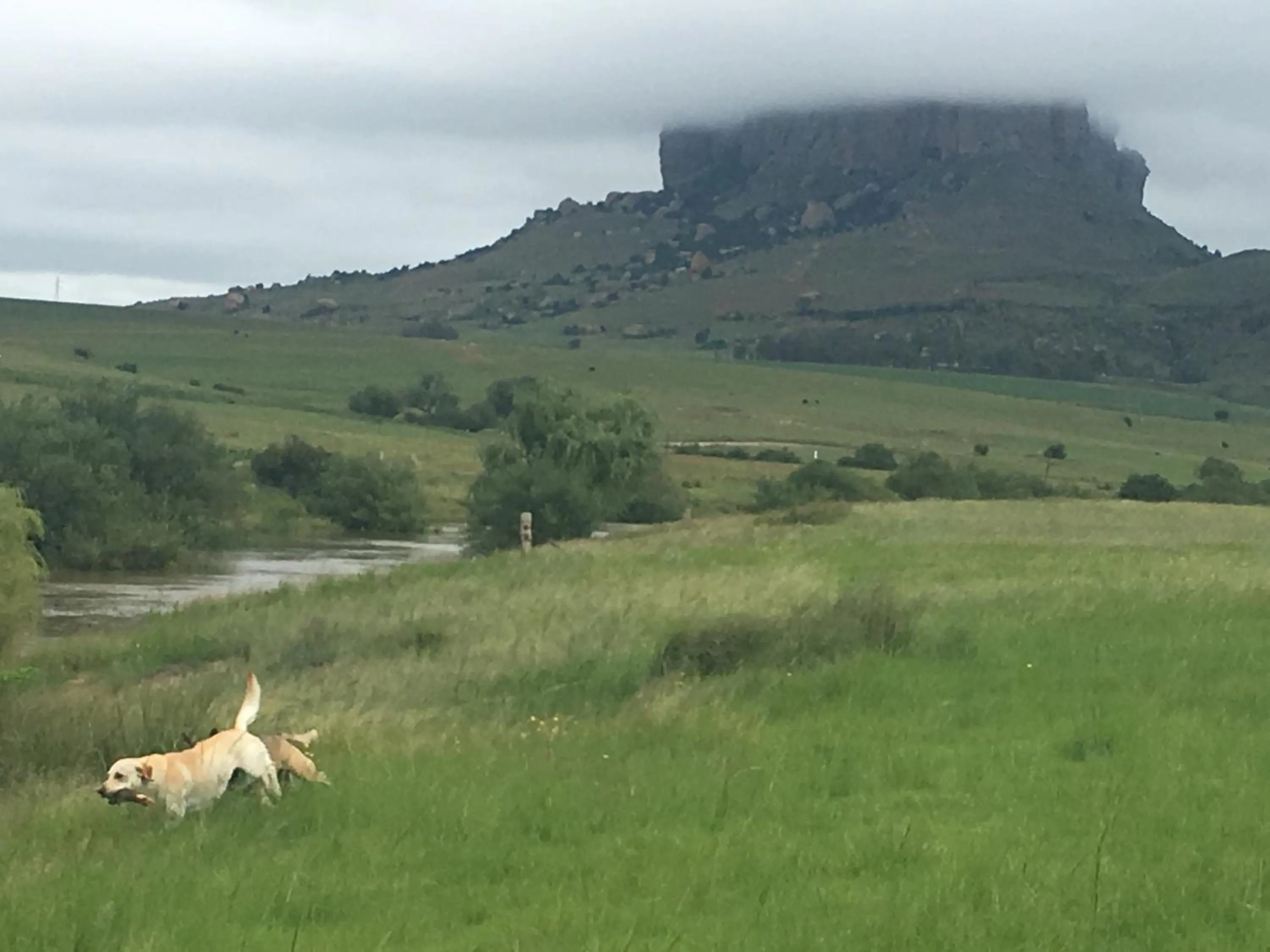 Riverview Country Inn