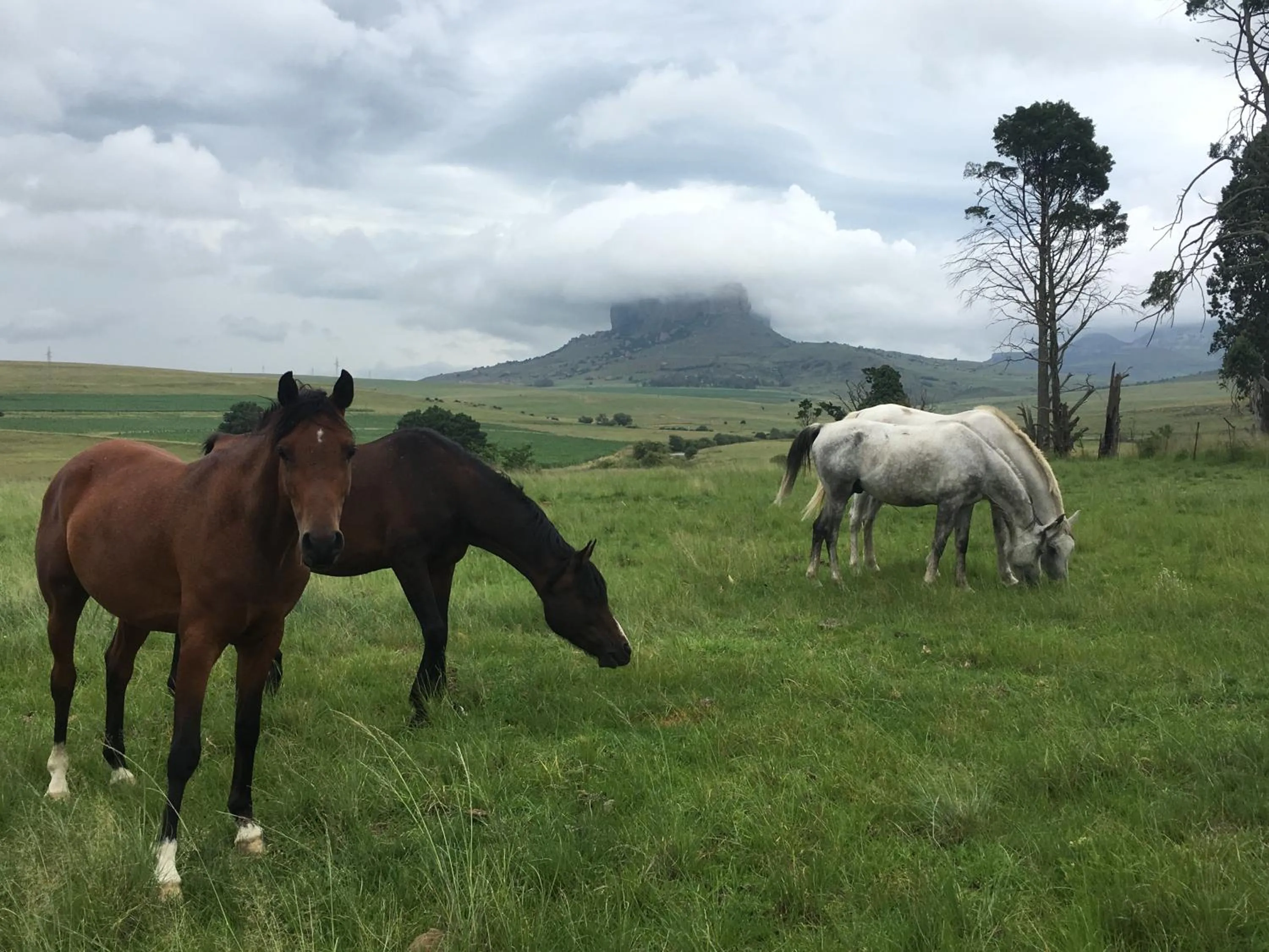 Riverview Country Inn