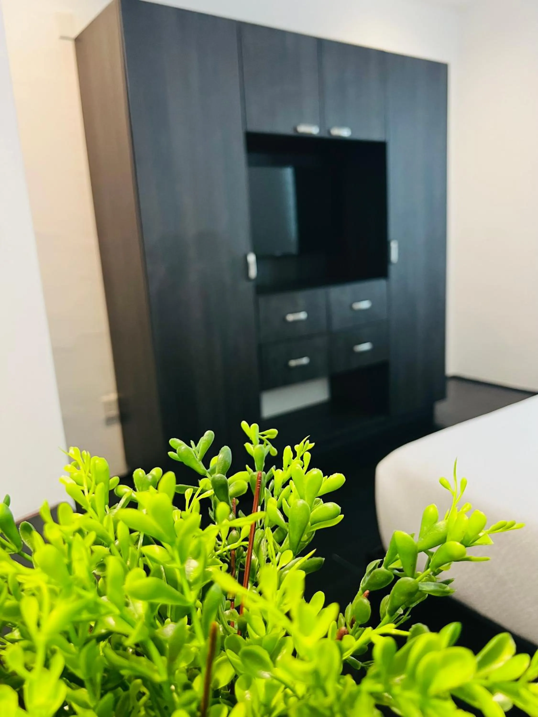 TV and multimedia in QA Hotel