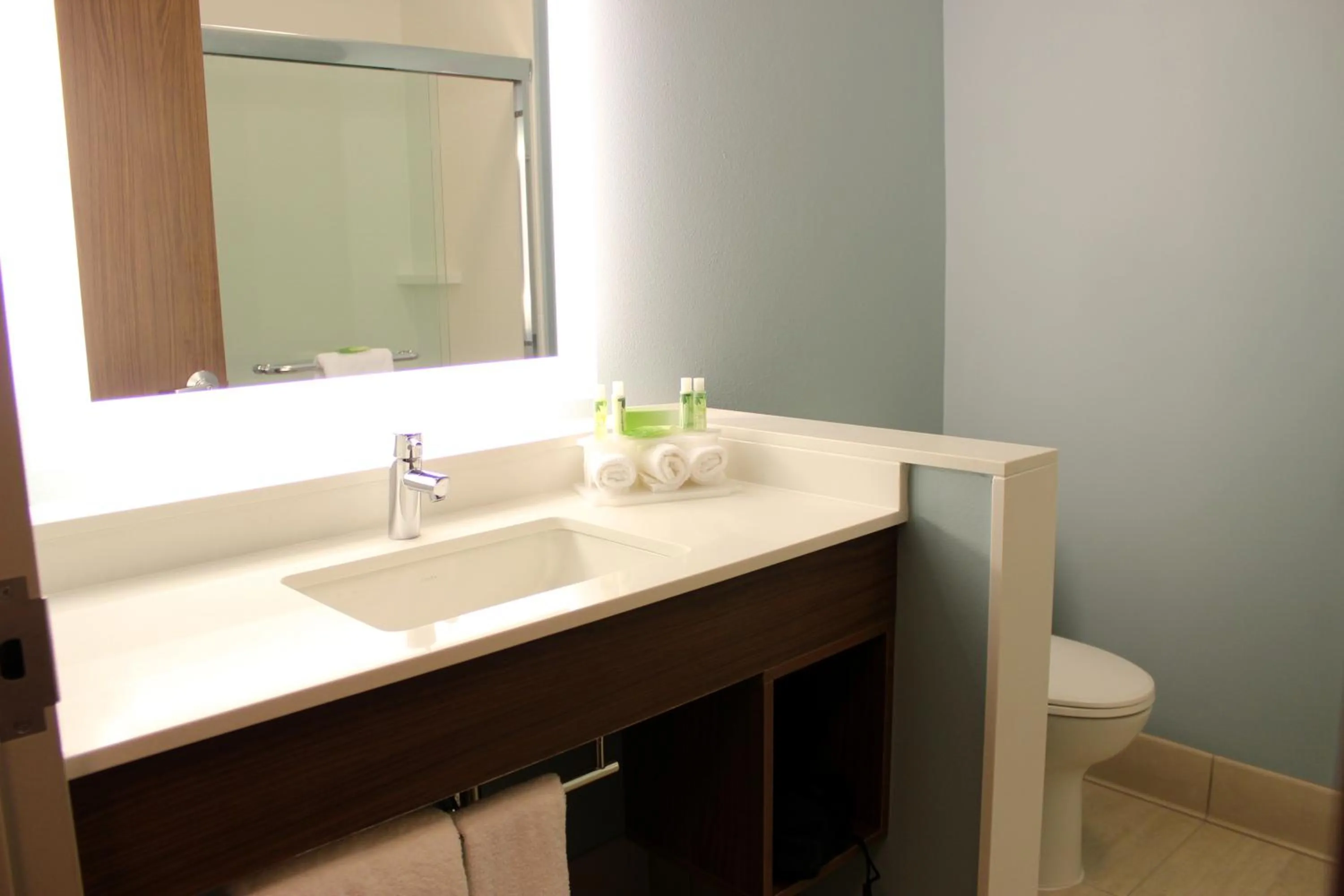 Bathroom in Holiday Inn Express Spencer by IHG