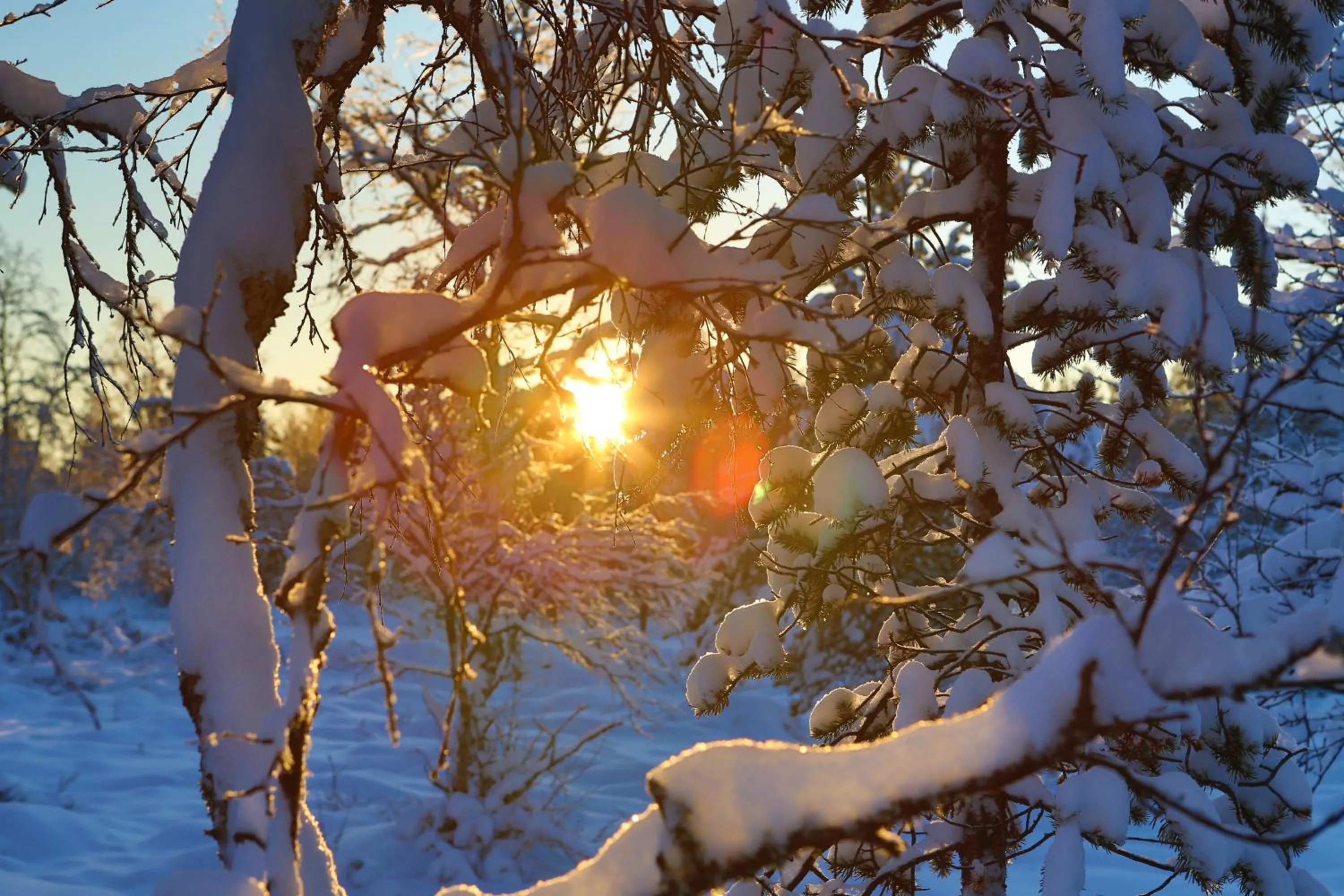 Day in Wilderness Hotel Muotka & Igloos