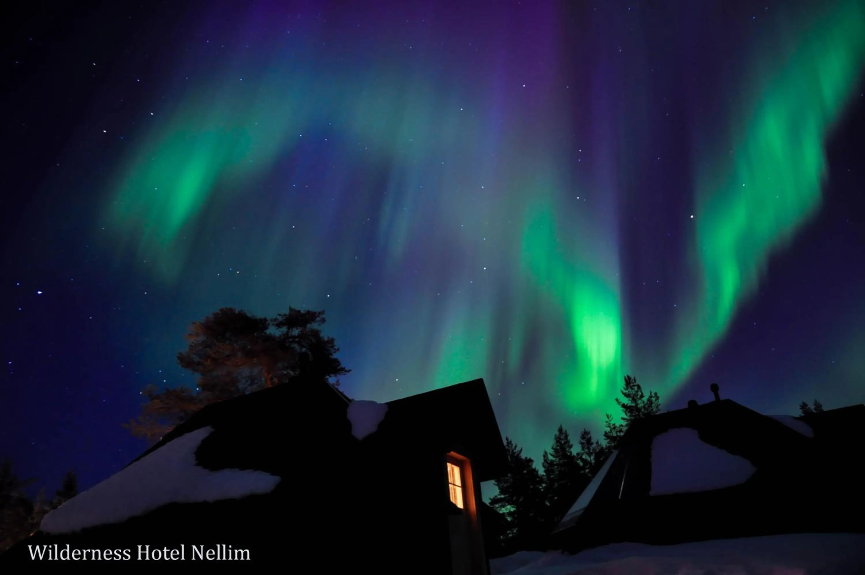 Property building in Wilderness Hotel Muotka & Igloos